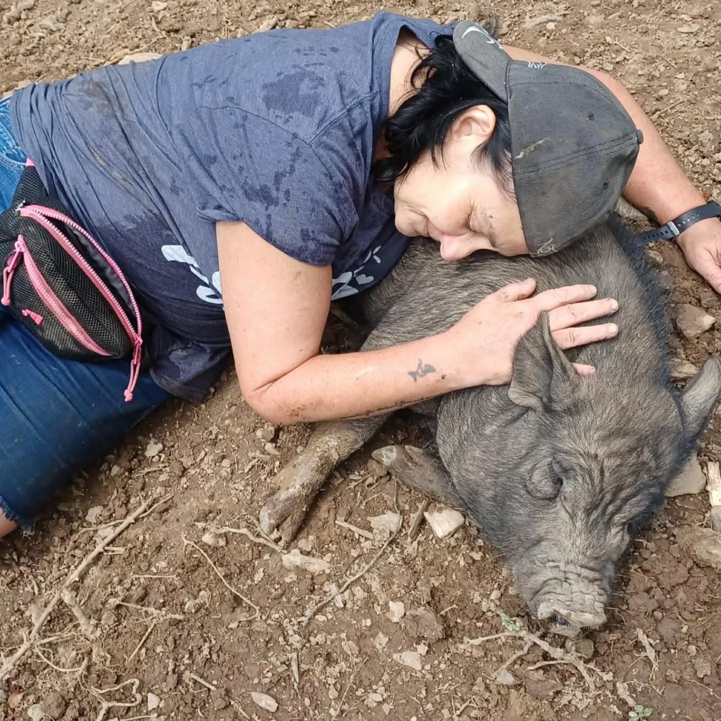 We love our volunteers! They have been invaluable this summer, especially after we took on over 80 pigs from a hoarding case and our Pig Nanny has been down from a major shoulder surgery. They haul straw, fill waters, clean stalls, and socialize with the pigs at our rescue. They also help at events, transport pigs, apply for grants, and have become our friends.
Melissa's work with one pig in particular, Lennan, got him adopted! She earned his trust and learned he is a belly rub king. Knowing this, we introduced him to a potential adopter and they fell in love immediately. He and Agatha (!!!) will head to their forever home in a few weeks.
#volunteersrock #petapig #adoptapig #volunteer #volunteerism