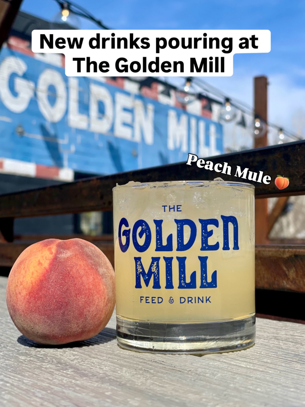 Big drink news at The Golden Mill 🍹 Starting tomorrow, Friday 8/28, we’re rolling out three new cocktails plus two new individual offerings:
🍑 Peach Mule: Deep Eddy Peach Vodka, Rocky Mountain Ginger Beer, + lime juice - crisp & refreshing
🍊 White Sangria: Lolailo White Sangria, Spanish Airén grapes, orange peel + Mediterranean cherries - light & easy to sip
☕️ Espresso Martini: Breckenridge Vodka, Café Borghetti, cold brew, + simple agave - rich & bold
Plus, Benvolio Prosecco and Joto One Cup Sake are now available individually at the main host stand.