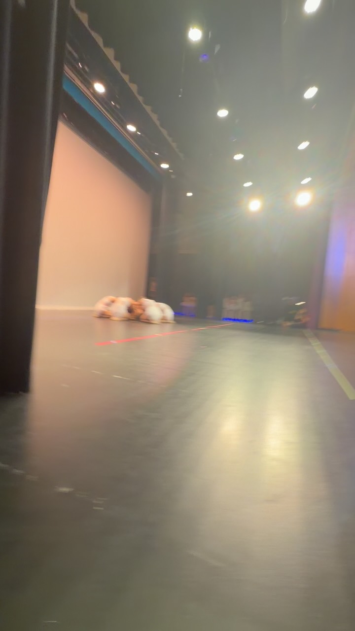 There’s something so special about watching your dancers from the side of the stage 😊 #dance #dancestudio #summervillesc