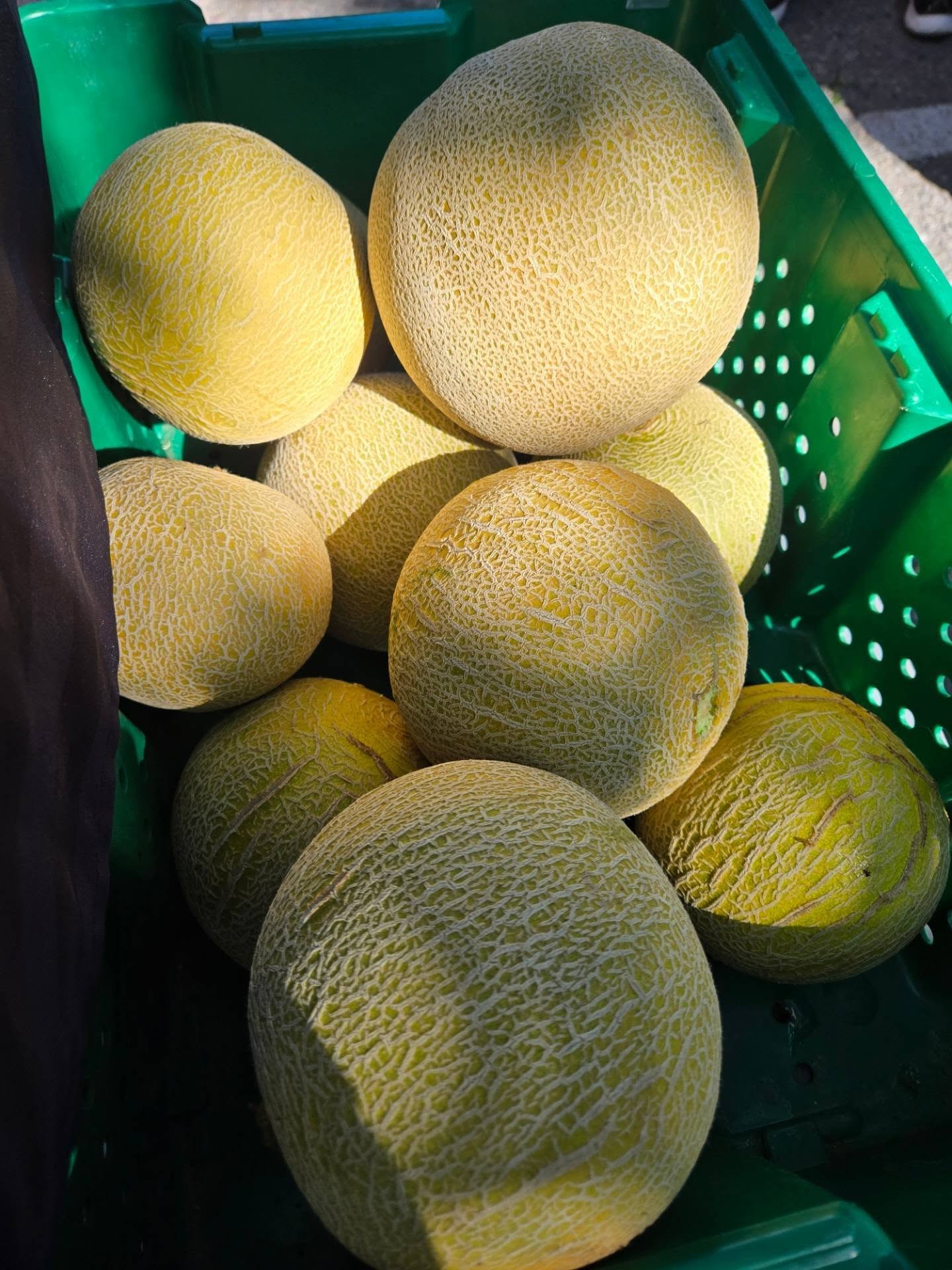 Honeydew!🕺🍈 Corn! 🌽💃 Making an appearance at the @nelson.farmers.market today! 🥳 See ya on Baker!
#kootenaycornergardens #melons #Corn #eatlocal #nelsonfarmersmarket