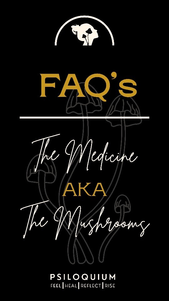 Every meaningful journey begins with curiosity. As a licensed psilocybin facilitator, education is one of the most important steps in getting started. In this reel, I'm answering a few of the FAQ's I get specifically around the medicine AKA, the mushrooms.
What questions do you have? What would you like to learn more about? Drop them in the comments below! 👇
#psilocybin #psilocybineducation #oregonpsilocybinfacilitator #oregonpsilocybinservices #psiloquium
📷 Manufacturing photo creds to @satyatherapeutics and @satorifarmsportland 💕