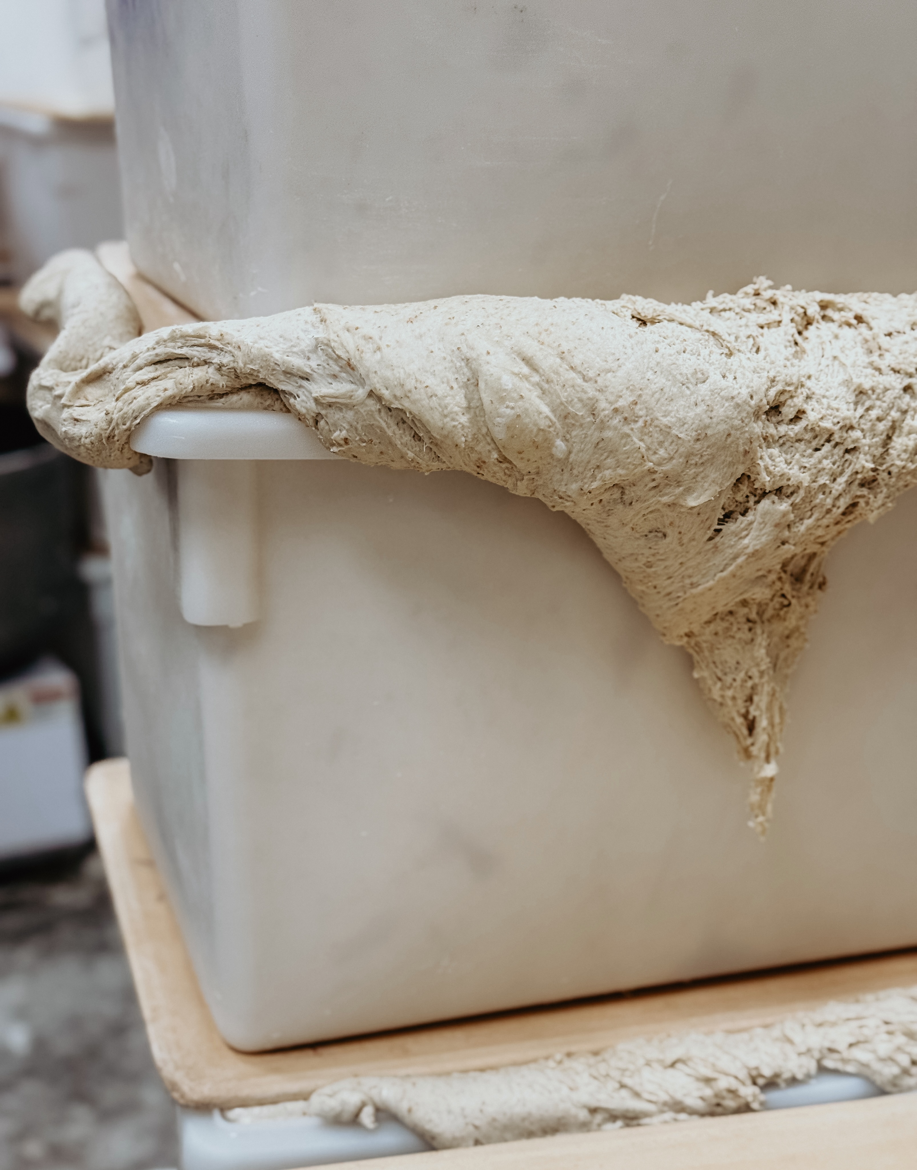 This is what slow fermentation looks like. No shortcuts, no rushing. Just time doing what it does best. Let it riiiiise, baby 🫧 #mediterrabakehouse #slowfermentation #naturallyleavened