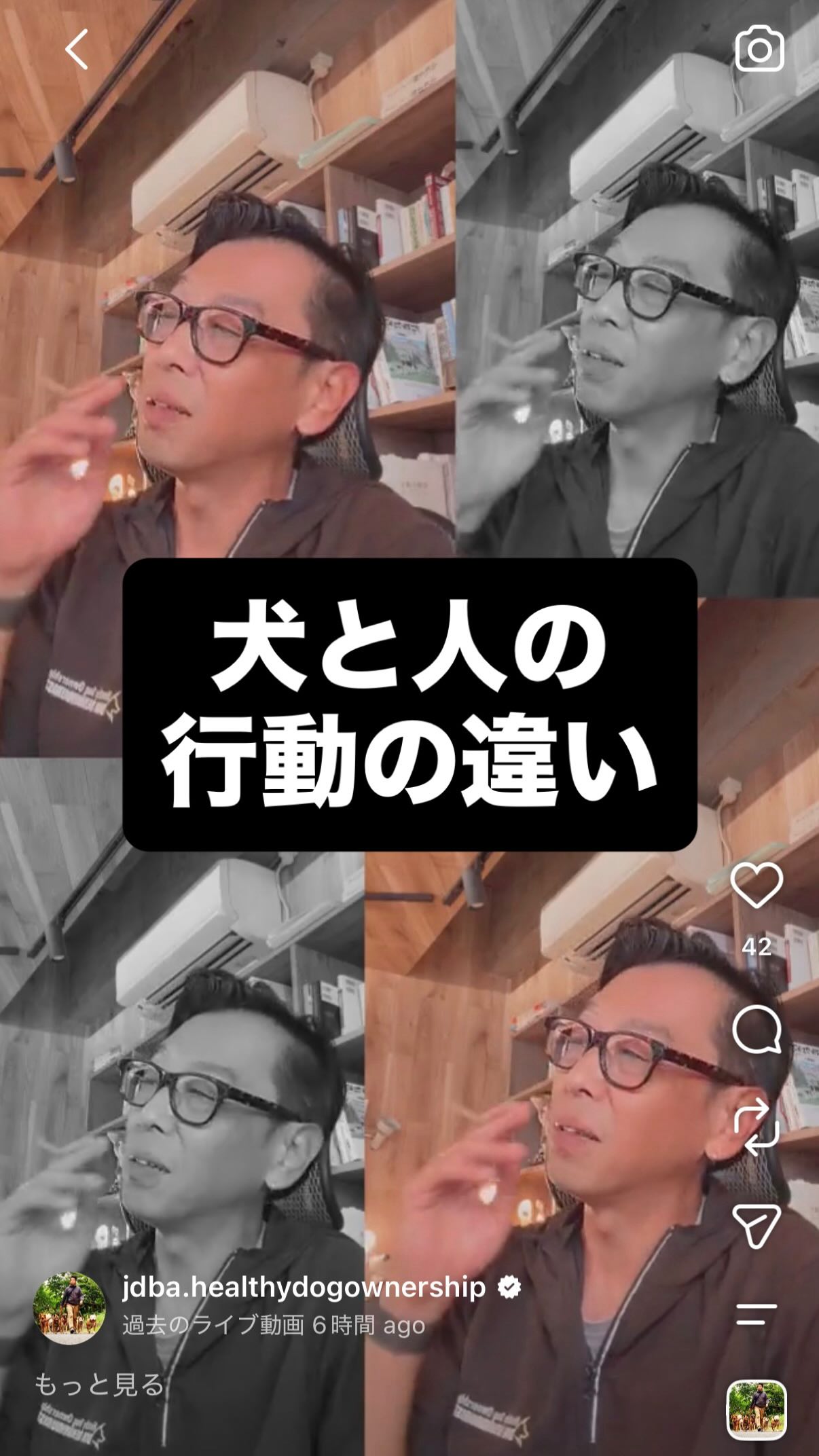 アーカイブ 犬と人の行動の違いについて
#ドッグビヘイビアリスト #jdba #ドギーステーション #行動学