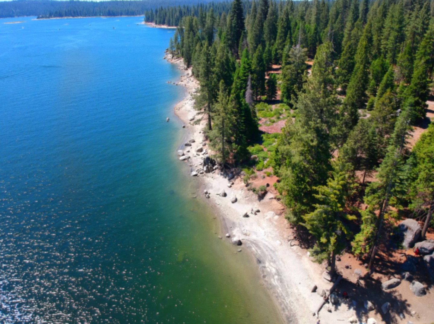 🇺🇸☀️ LABOR DAY WEEKEND IN SHAVER LAKE ☀️🇺🇸
September 4–7, 2026 is packed with fun in the mountains!
🎶 Friday, Sept. 4
Friday in the Pines with CAB Street Band • 6–9 PM
🛍️ Saturday, Sept. 5
Museum of the Sierra Craft Fair + Steam Donkey & Power House Demonstration • 10 AM–3 PM
🥞 Sunday, Sept. 6
Shaver Lake Lions Club Pancake Breakfast • 7–11 AM
🚵 China Peak Mountain Biking • 9 AM–4 PM
🎶 Makin’ Waves at China Peak • Noon–5 PM
And of course, there’s always plenty of time for lake days, boating, hiking, BBQs and relaxing at the cabin.
Make the most of the long weekend and spend it in Shaver Lake!
🏡 Book your mountain getaway with The Cabin Host. Just a few cabins left!!
#ShaverLake #LaborDayWeekend #TheCabinHost #VisitShaverLake #ChinaPeak #SierraNevada #CabinGetaway #MountainWeekend #ShaverLakeCalifornia