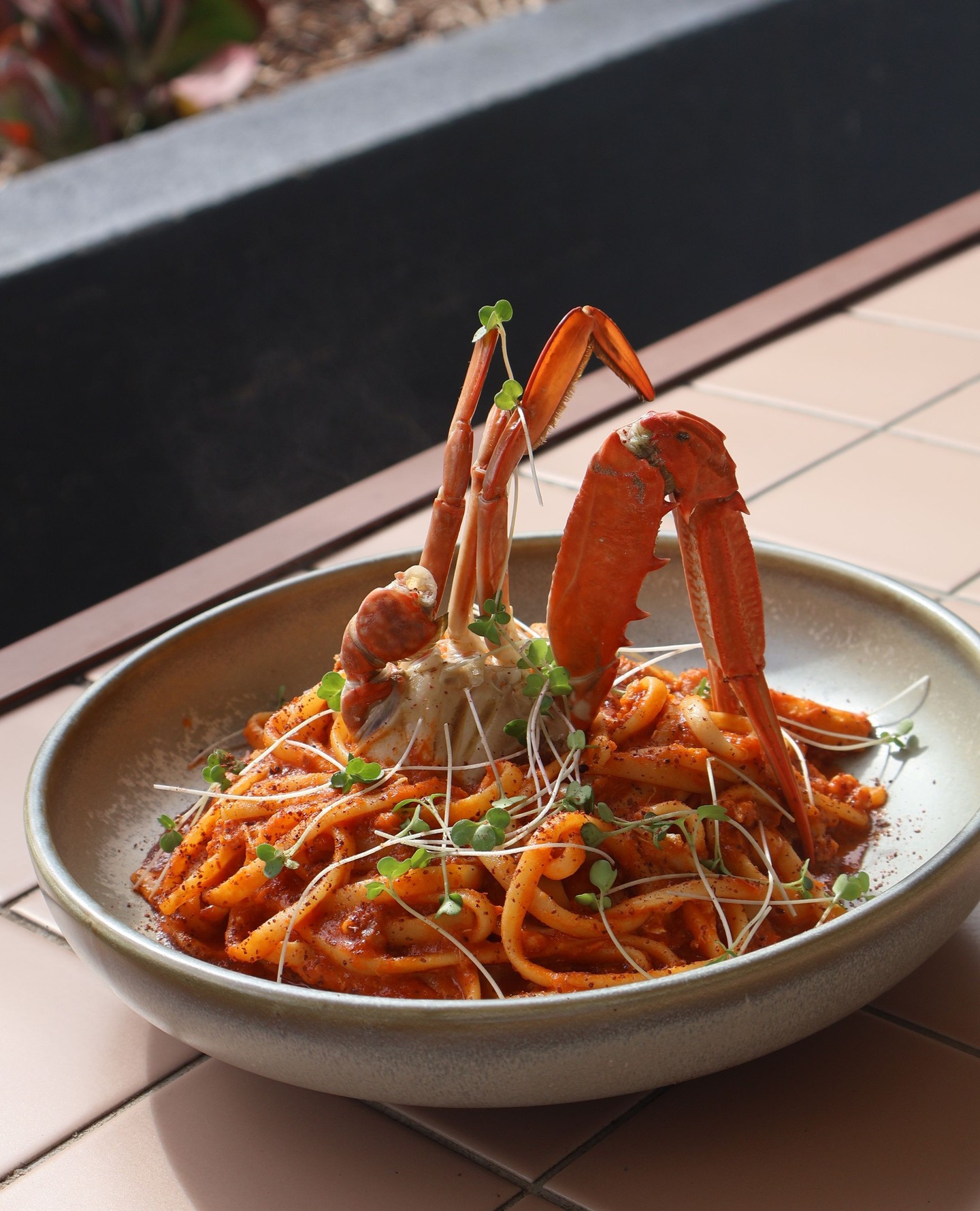 A pasta worth twirling into 🦀
Blue swimmer crab, linguine, alla vodka and crab claw - rich, creamy and made for taking your time over.
Find it on the menu at #TerraAndSol and book your table via the link in bio!