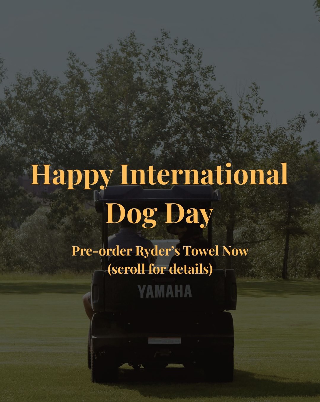 We love our @turfryder so much 🤙 and she’s a rescue from @pawsrescueedmonton so we teamed up with @pioneergolfco buy a towel and $20 goes to this amazing shelter!! Pre order through our site ❤️