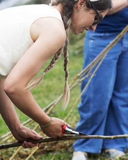 Volunteers needed for "The Paths We Weave" public art project!
Come join us this Saturday, 8/29 from 10-noon to help artist Sydney Schultz strip and sort willow for the public art installation that is taking shape on the Thornden Park water tower hill. No experience is needed.
Please bring hand pruners if you have them - we have a limited number available to share. Gardening gloves are also recommended.
When: Saturday, 8/29, 10-noon
Where: Thornden Park water tower
Come for an hour or stay for the morning!
(Photo credit: Jessica Montgomery)