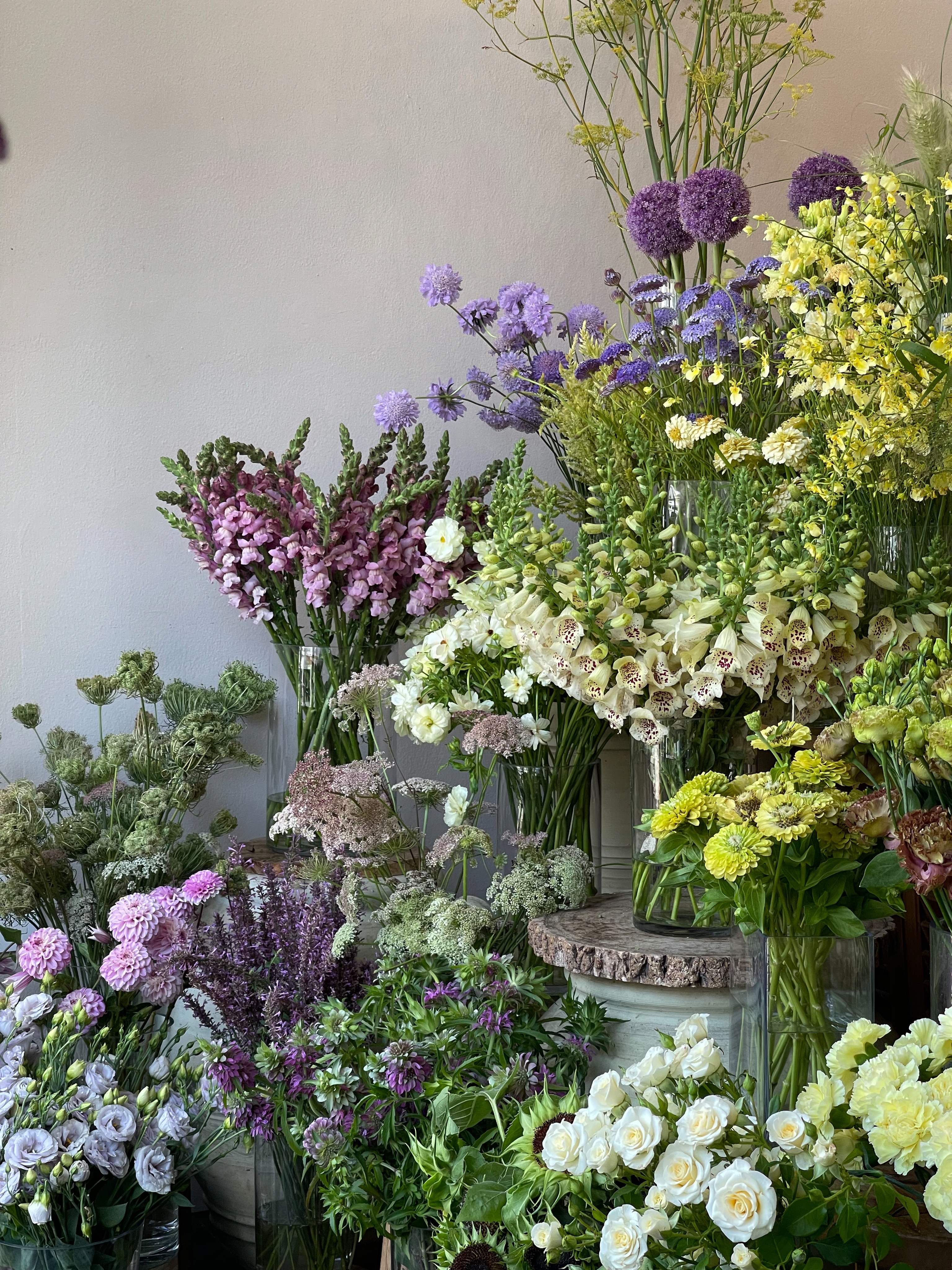 The shop is worth a visit every week as the palette changes and there is always something new to swoon over!