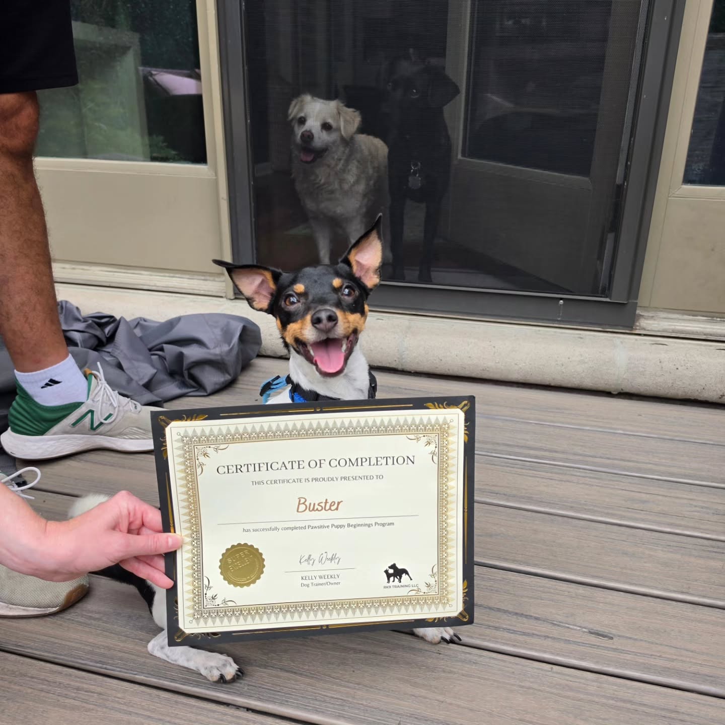 Buster officially graduated from Pawsitive Puppy Beginnings! 🎓
This little guy absolutely crushed his program, and he's come SO far!
We worked on all those important puppy life skills, including:
🐾 Sit & down
🐾 Stay
🐾 Loose leash walking
🐾 Better potty habits
🐾 And so much more!
And of course, none of this would have been possible without the helpful supervision of his sisters, Josie & Georgia, who made sure Buster stayed on task. 😂
But the best part isn't just that Buster learned a bunch of cues.
He's building the skills he needs to navigate the world with his family and his humans now have the tools to keep teaching him as he grows.
Congratulations, Buster! You earned that diploma! 🎓❤️
