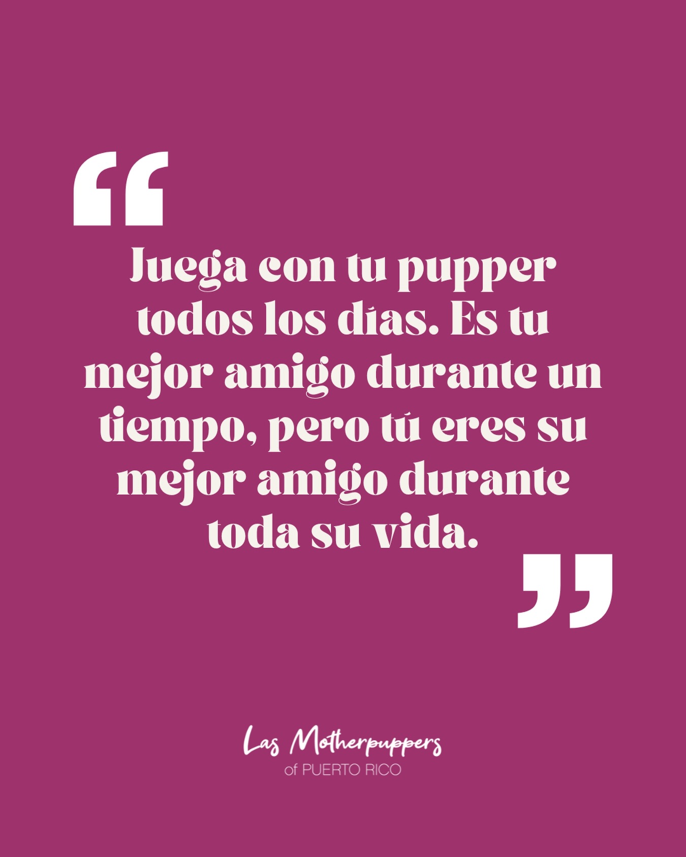 Porque en esta página, el Día del Perro se celebra todos los días. 🐾🧡
Ellos tal vez estén con nosotros solo una parte de nuestra vida, pero para ellos… nosotras somos su vida entera. 🥹
Así que juega, pasea, abraza y disfruta cada momento con tu pupper. Para él, no existe mejor plan que compartir contigo.
Cuéntanos: ¿cuál es la actividad favorita de ustedes juntos? 👇
#DogMomsofPR #PuertoRico #dogsofpuertorico #dogmomclub #DogMomLife