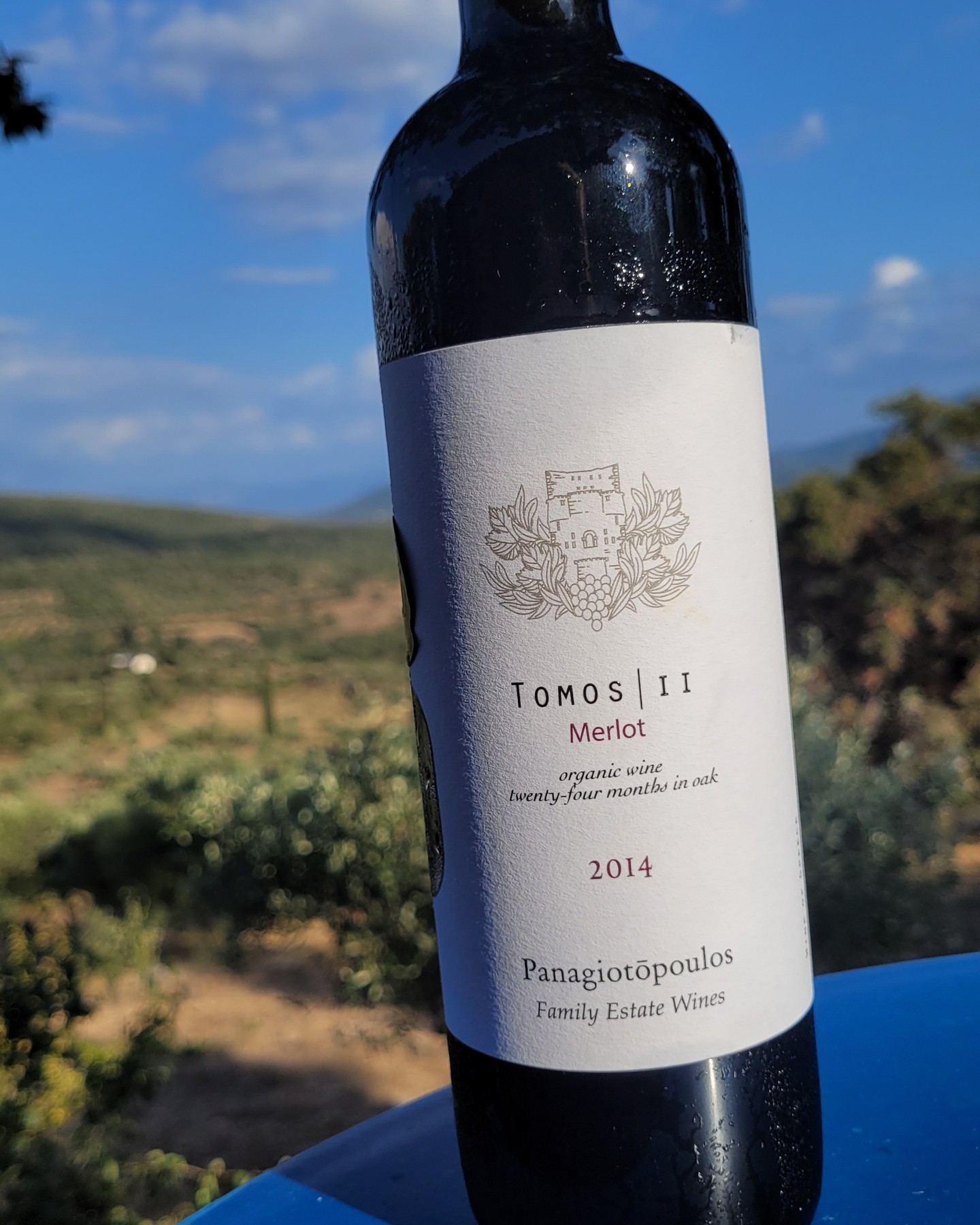 The trio's lowest-ranked wine beat its Super Premium Merlot.
Panagiotopoulos Tomos II Merlot 2014 – PGI Trifilia, Peloponnese | 89/100 🍷
Tomos II is the organic, oak-driven Merlot in the Panagiotopoulos (@panagiotopoulos_wines) reserve trio of Cabernet (I), Merlot (II) and Syrah (III), each from certified-organic Trifilia sites and two years in barrel. Far more ambitious than the estate’s plain, shorter-aged Merlot. It comes from a single organic site at 500 m, hand-picked on 10 September 2014, 24 months in 225-litre French oak, 14.5%, a good 8,200 bottles, around €20–30.
The estate’s internal ranking is hard to follow: it files both this Merlot and the Tomos I Cabernet as “Super Premium”, the Tomos III Syrah only as “Premium”, and reserves “Ultra Premium” for the separate Cabernet cuvée “36”.
2014 was no easy vintage in the Peloponnese, cool and damp, with rain, disease pressure and a need for strict selection; the early pick on 10 September likely helped the Merlot dodge the later autumn rain. As the third Tomos wine in my glass, after the Cabernet 2013 and Syrah 2013, this Merlot still shows very, very fresh. After a fruit-led nose, though, it is simply too soft on the palate, with little tension or variation to make it exciting. A same-aged Anny’s Animus 2014 alongside showed just how much that tension is missing: less fresh, yes, but with a more intense, plummy nose and an acidity that kept lifting it.
That is 89 points for me. It should hold them for a long time, and in a few years it will stand ahead of many other Greek 2014 Merlots, few of which age this fresh. Telling that the Syrah, officially the lowest of the three, was my favourite in the glass, and this Super Premium Merlot the least exciting.
A much more detailed review lives in our site’s tasting-note database of 500+ Greek wines.
Comment one Greek Merlot you think has real tension.
#GreekWine #Merlot #WinesOfGreece #OrganicWine #GreekRedWine