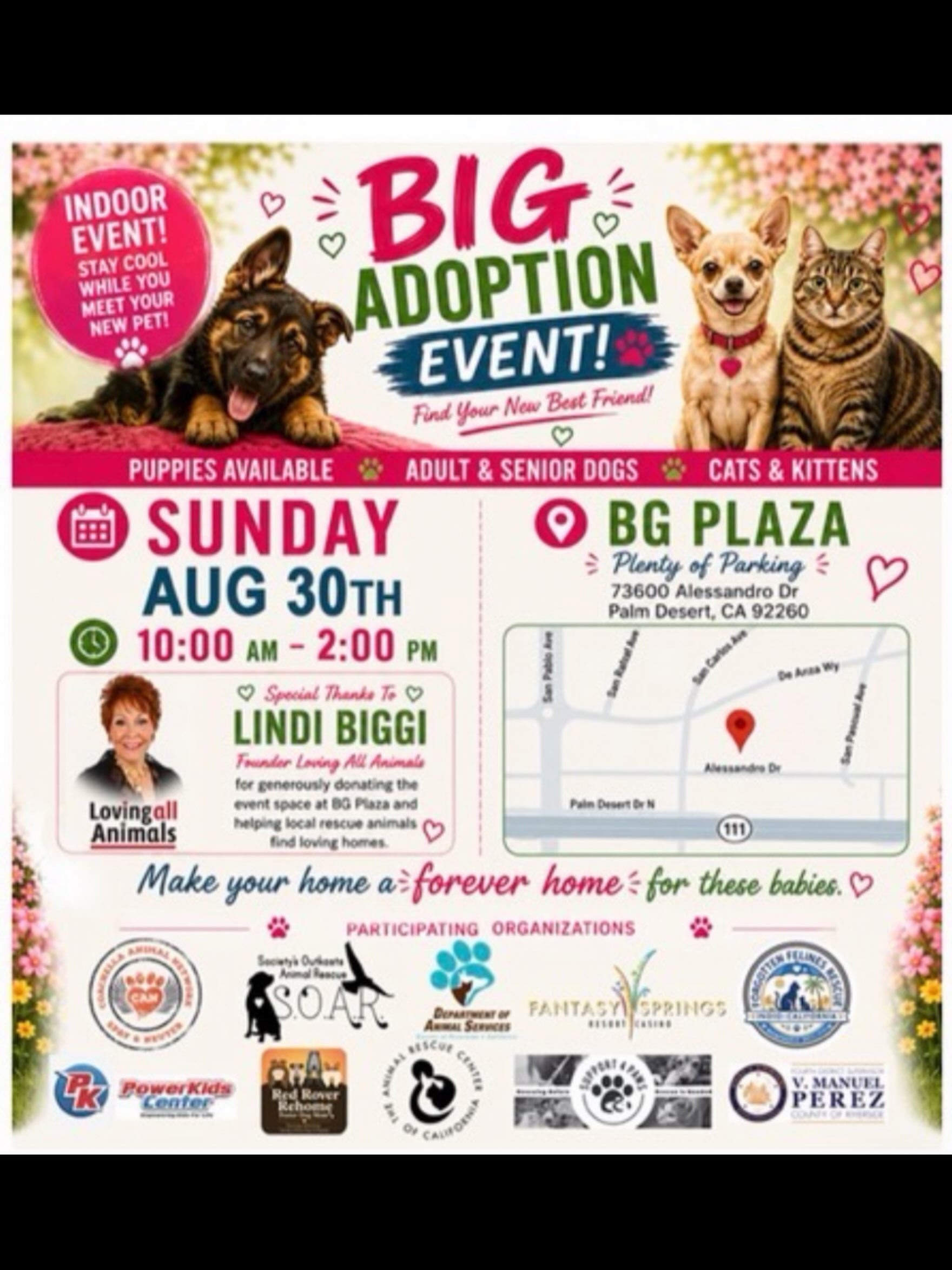 Adopt Don’t Shop!
.
#rescue #adopt #adoptdontshop #adoptionevent #palmdesert