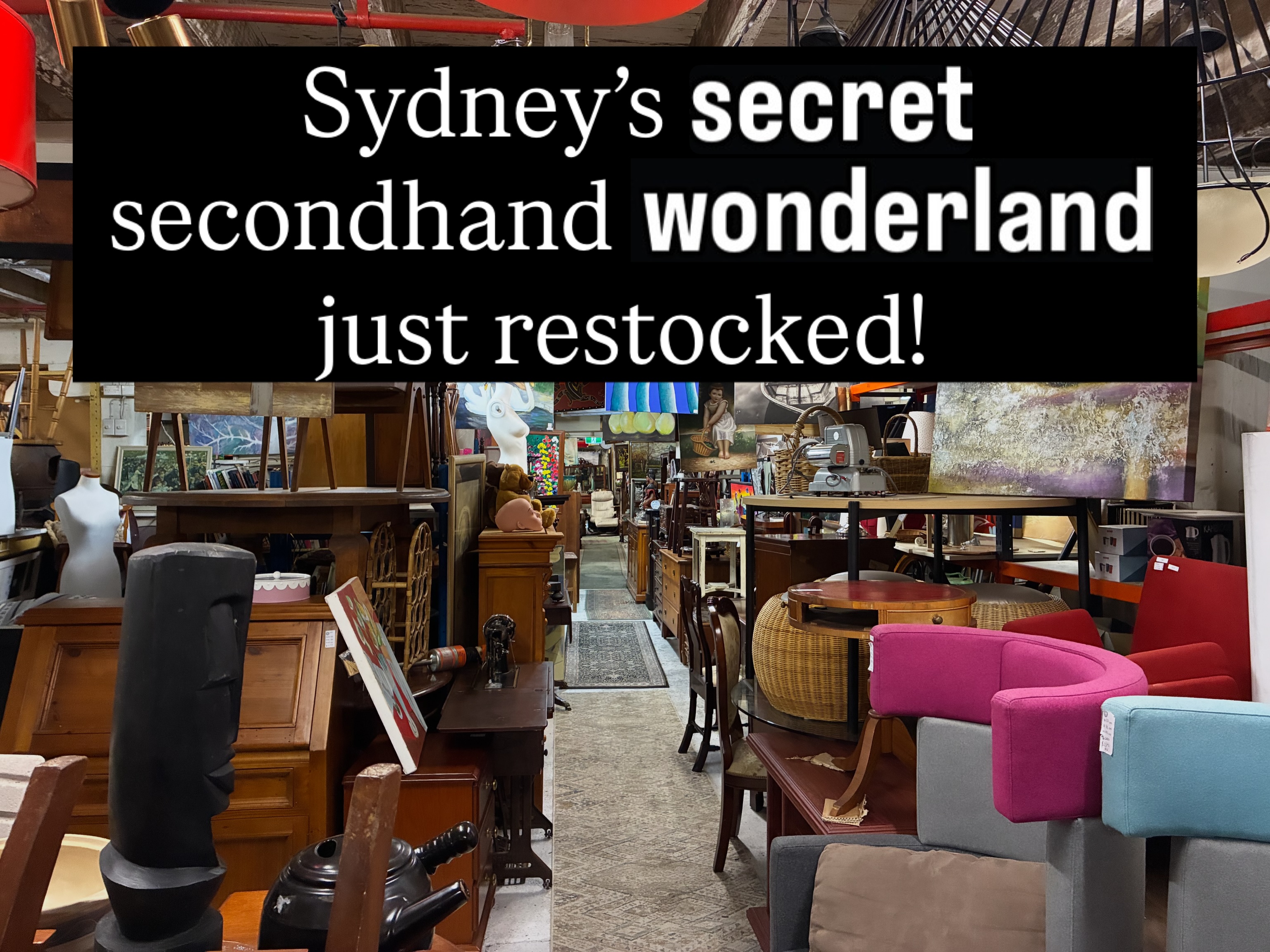 Sydney’s secret vintage warehouse wonderland just restocked! 🛋️✨
Swipe to the end to see the supervisor Gidget! 🐶 Which slide has your absolute dream piece? Tag your best thrift buddy! 🏺👇
📍 44a Wattle St, Ultimo
⏰ 10am-5pm Daily
#vintagesydney #hiddengemsydney #secondhandwarehouse #vintagefurniture #upcyclesydney