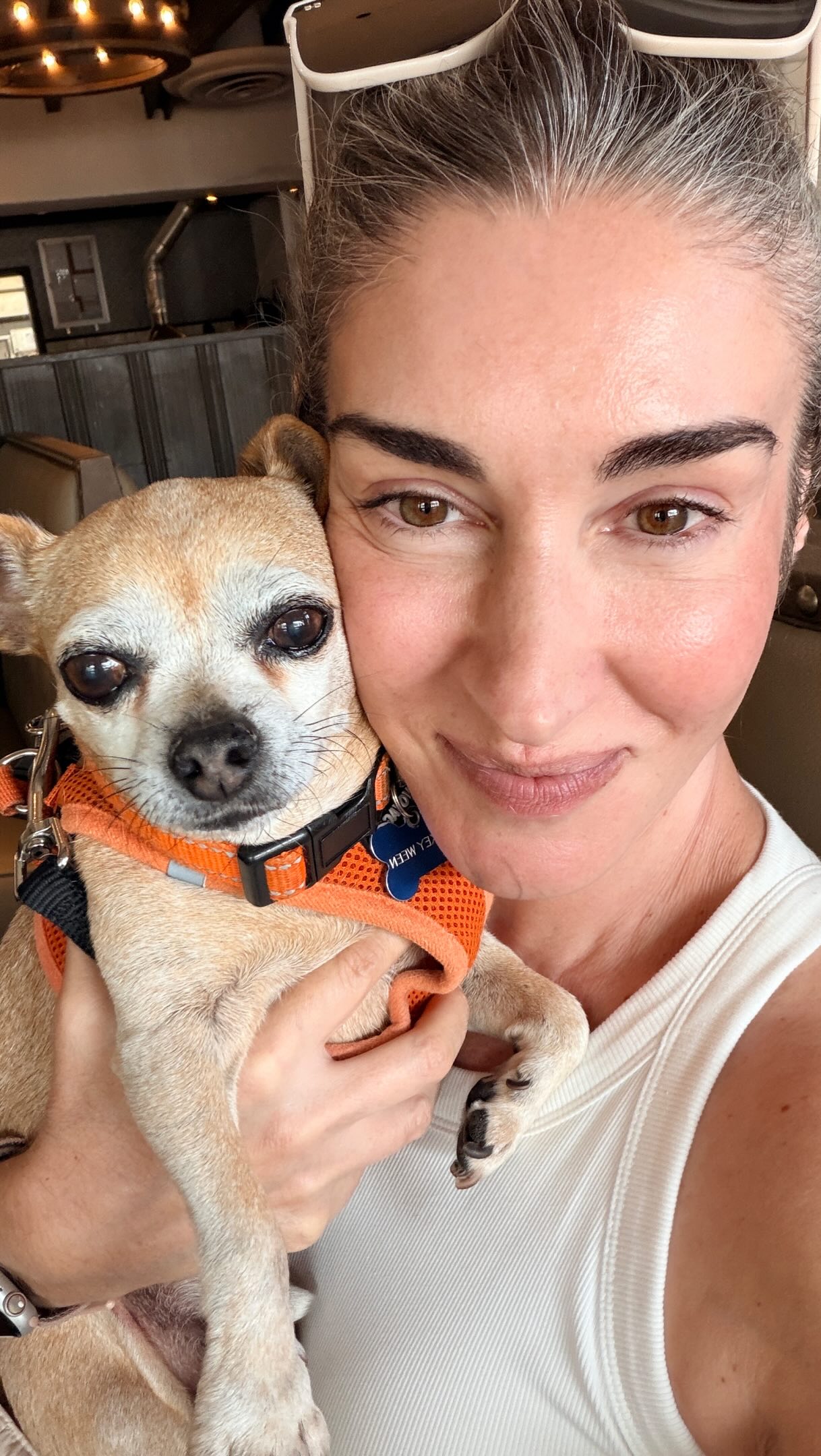May the “It’s just a dog” people never find me.
Every waking moment is #nationaldogday with my last remaining angel.