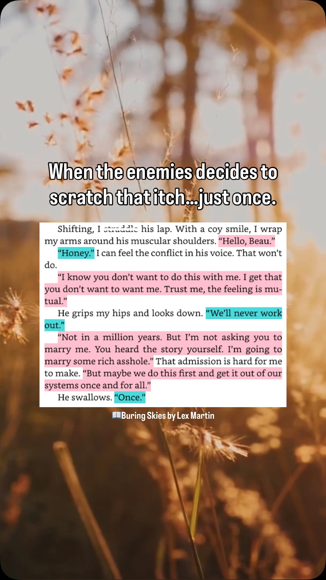 📖Burning Skies by Lex Martin
#smalltownromance #cowboyromance #enemiestoloversromance #romanticsuspense #romancebooks