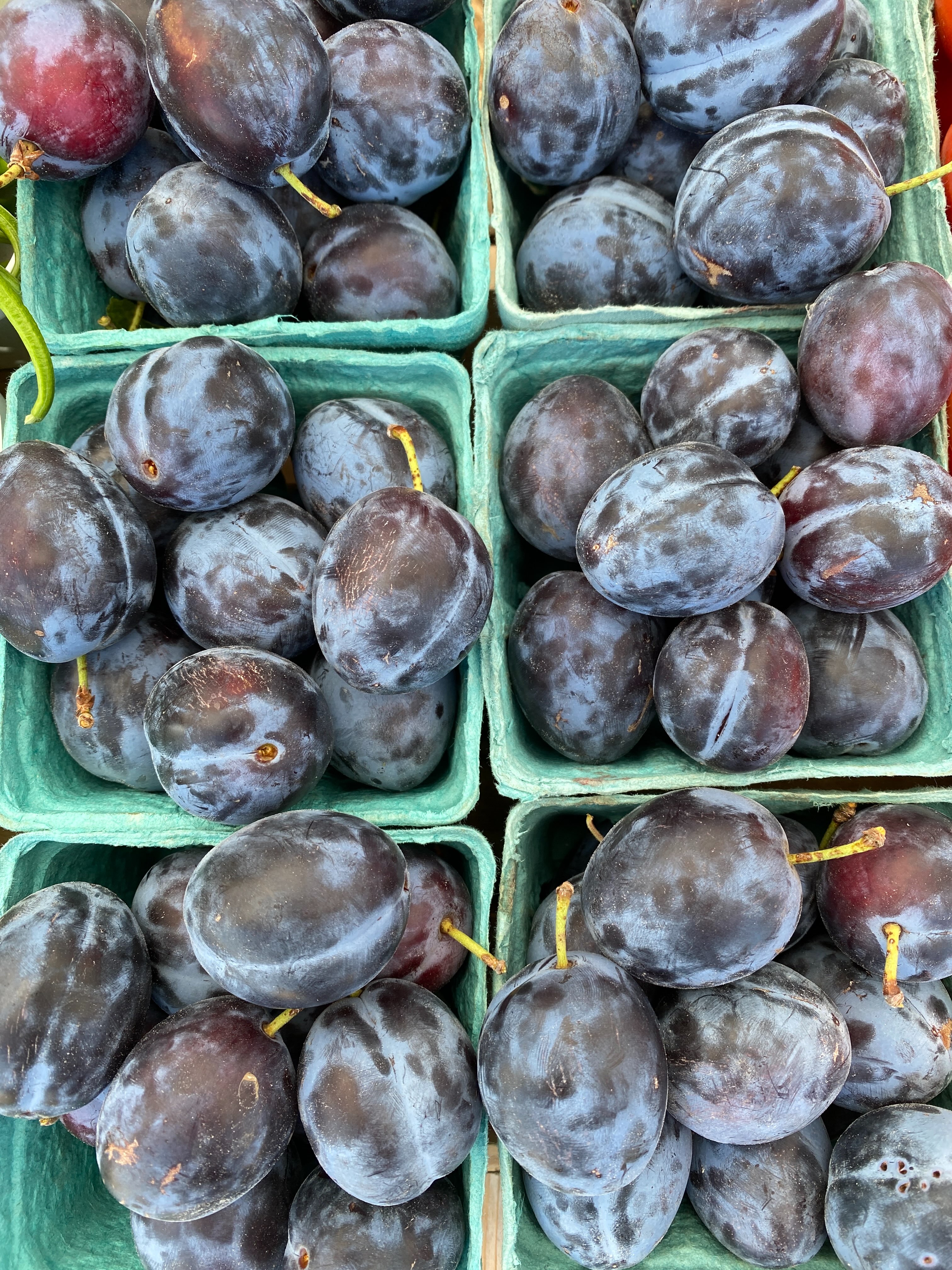 Snapshots of our market booth this weekend. We have so much. It’s the time of year when summer meets fall. The best of EVERYTHING! #sliceofheavenfarm