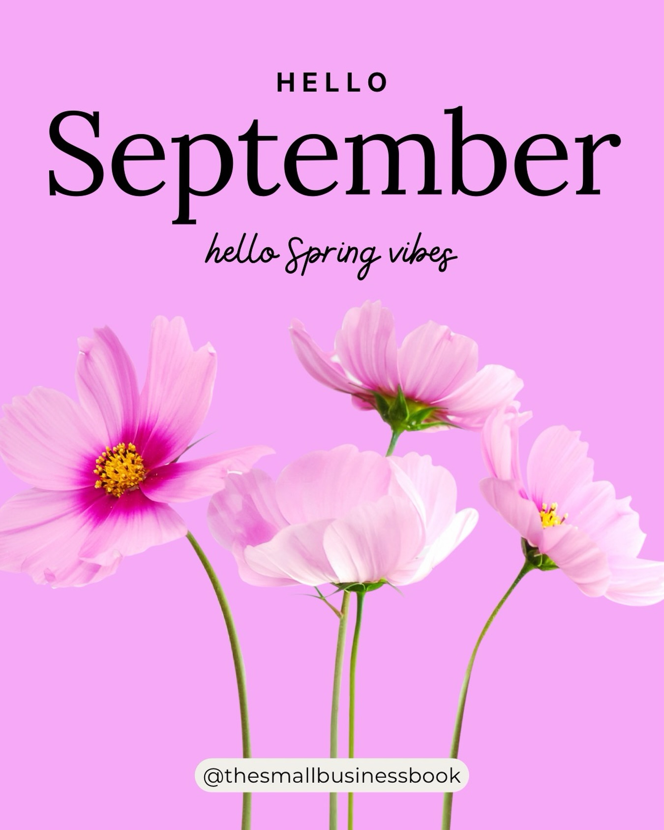 We’re almost through Q1 of the financial year, making September a great time to refresh your business finances, check your progress and make sure you’re on track for the months ahead.
This month, take time to:
- Review your August numbers
- Get your books up to date
- Review your revenue and profit goals
- Check your cash flow
- Prepare for upcoming BAS, super and other obligations
What’s one business goal you’re working toward this September?
.
.
.
#thesmallbusinessbook
#perthbookkeeper
#perthaccountant
#WAbookkeeper
#WAaccountant