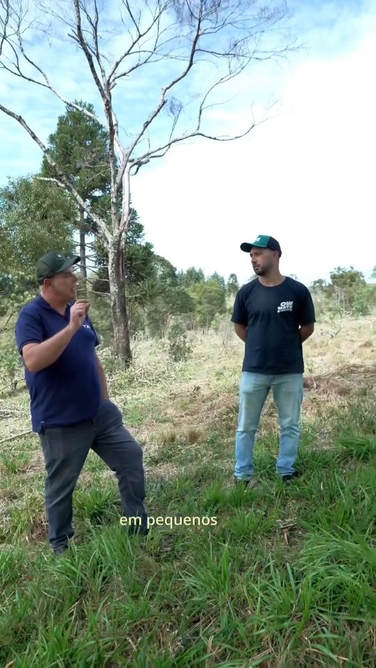 Já que essa semana é comemorado o dia da erva mate em Curitiba, nada mais justo do que mostrar onde tudo começa. 🍃
Por trás de cada OW Mate existe uma erva mate orgânica, cultivada e produzida com processos que respeitam a terra e a biodiversidade!
Vem dar uma olhada nos bastidores 👀