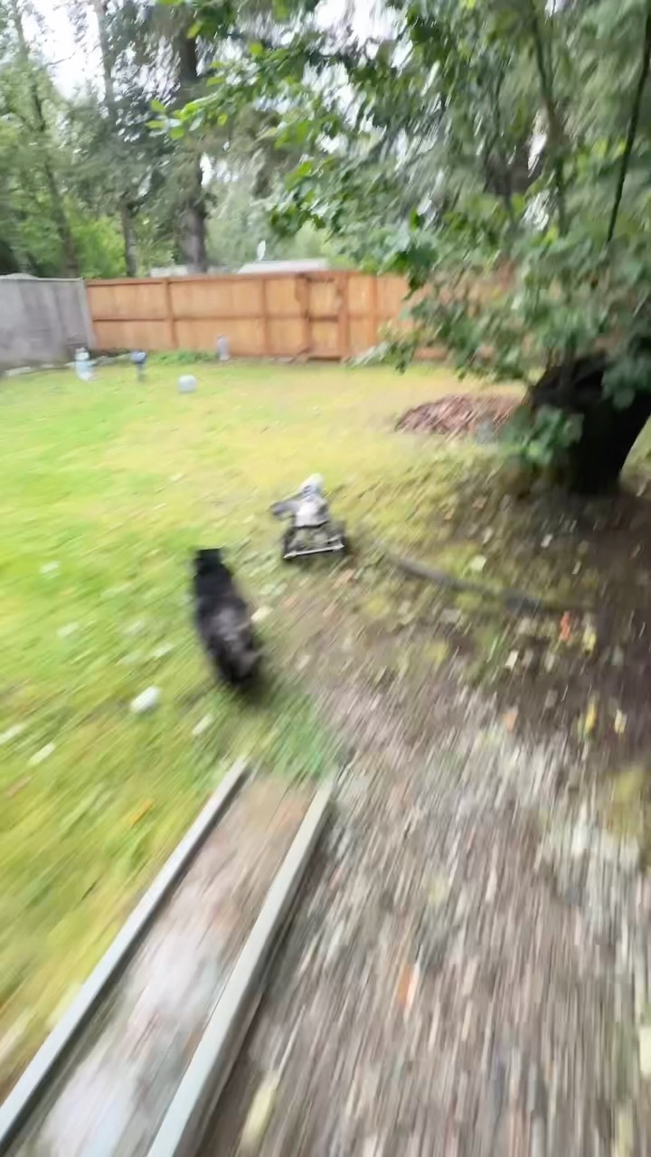 Angel HarPURR will purrever be in our hearts, insPURRiring and instilling a purrpetual sense of positivity.
As we take a trip down memory lane on this fabulous flashback FriYAY, always remember how uniquely special HarPURR’s spirit is. His iconic suPURRsonic speeds, blazing down his catwalk, leaving trails of cosmic dust behind him. I truly miss those purrecious moments with him, so dearly, and then I give myself a minute to breathe and focus on the eternal positive impact he has on all of us.
HarPURR learned to use his first cart at 2 months old. He continued to embrace the use of it and excelled in every way possible. His cart became a part of his everyday and it was a joyful addition. HarPURR was a force to reckon with and will purrever be.
HarPURR Angel Kitty Warrior and I are here to tell every single soul that you are ALL valued, irreplaceable, ALL matter and are loved. Feel the warrior spirit from within and HarPURR on.
Help us continue to fulfill his mission to insPURRire, advoCATe, eduCATe, encourage and demonstrate compassion by letting your light shine bright from within.
Be Like HarPURR - advoCATe 💨 eduCATe 💨 insPURRire 💨PURRever
#gato #guapo #fyp #angel #warrior
HarPURR Kitty Warrior-Rest in Purrever love my HarPURRoni-2/20/2026 🖤🌈🖤