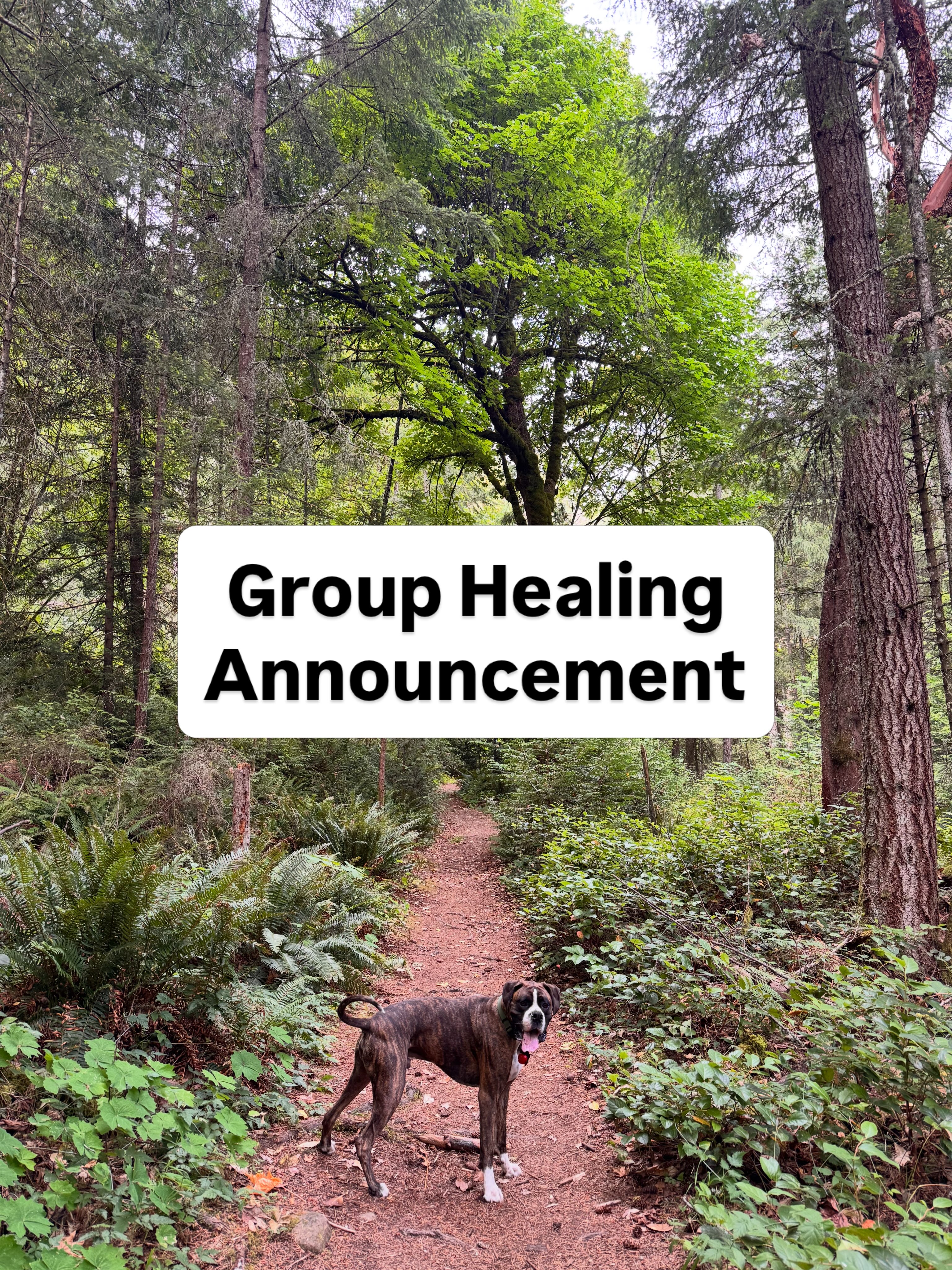 Group Healing Session
Please read the entire post.
Your love and support truly mean the world. I’m so excited to share that the next Group Healing Session will be held on Sunday, September 20th at 11am (PT-Vancouver time).
With the support of my Guides (mainly Peter), I’ll be sharing: channeled teaching, guided meditation, energy healing for mind, body & soul plus sharing self-healing techniques you can use anytime
Live only – no replay available
Pay what you can (payment is required to attend, but the amount is up to you. Give what feels aligned with your heart and means).
How to Register:
1. DM me here or email: westcoastmedium1@gmail.com
2. Include your full name + “Group Healing Session”
3. Await confirmation
4. Send payment via eTransfer to the same email above (PayPal available for non-Canadians)
5. Zoom link will be sent before the event
Beware of scammers. Only trust messages from this verified account. When in doubt, contact me directly.
If you feel called, I’d love to have you with us. Or share this with someone who might need it.
With love, Amber