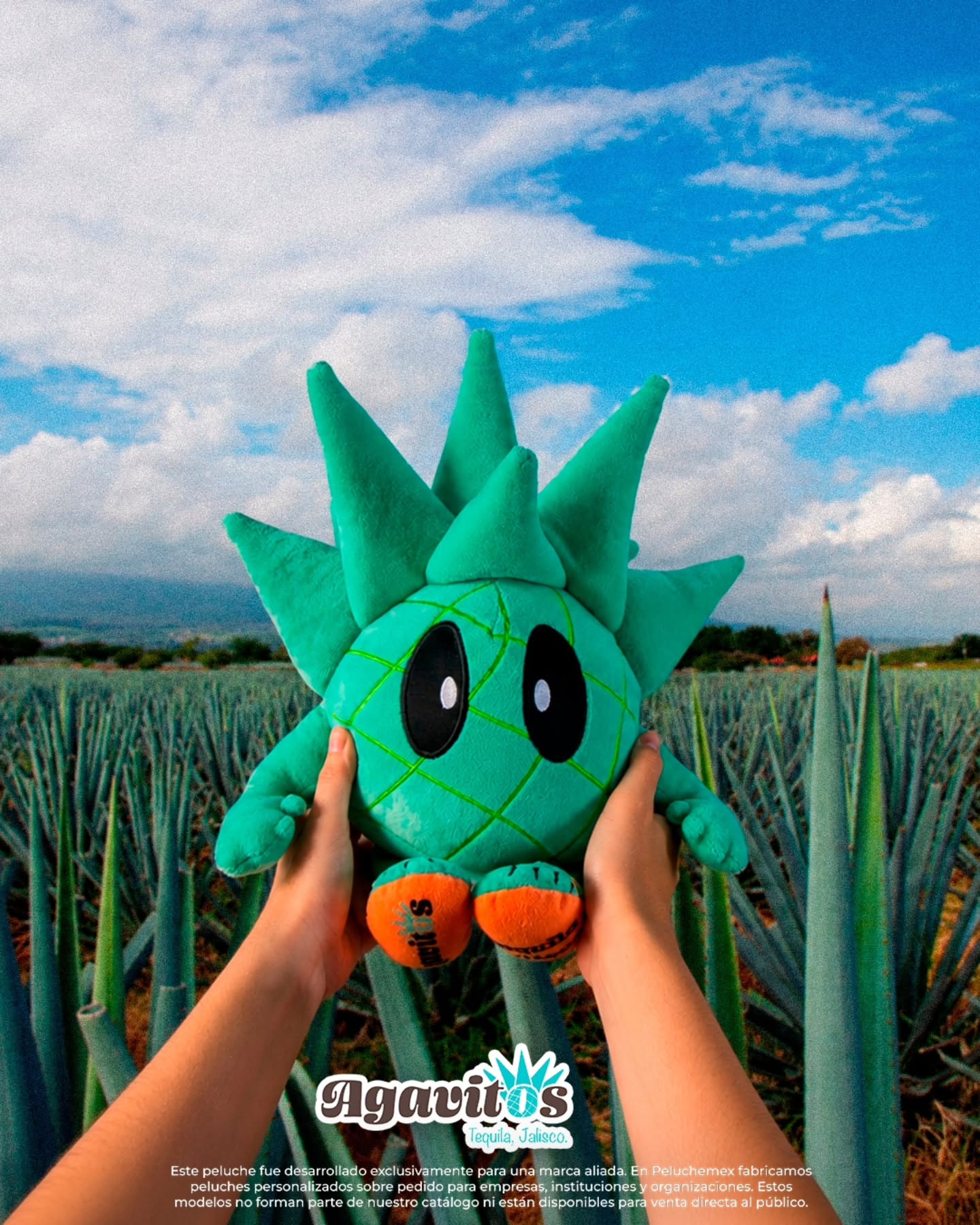 Un recuerdo que viaja mucho más allá de Tequila, y así con Agavitos, compartir buenos momentos.✨
-
En Peluchemex fabricamos peluches personalizados que generan conexiones emocionales con experiencias y momentos.🧸💚
-
-
-
-
-
#marketingdigital #tequila #hechoenmexico #peluchepersonalizado
