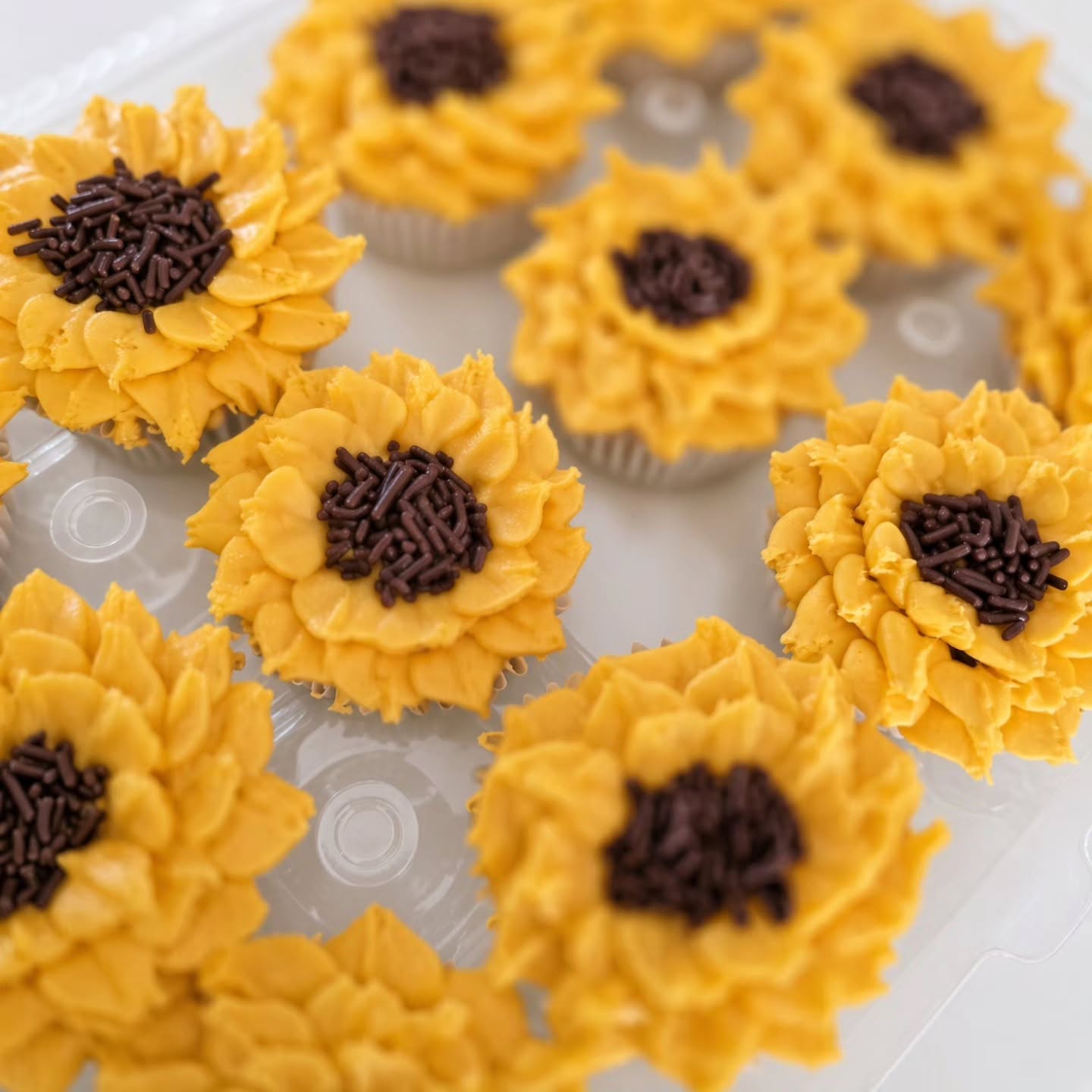 'Tis the season for those big, beautiful pops of yellow! These already have a home, but contact Something Sweet to place your order!
#sunflower #grandforksnorthdakota #bakery #cupcakes #grandforksfinest