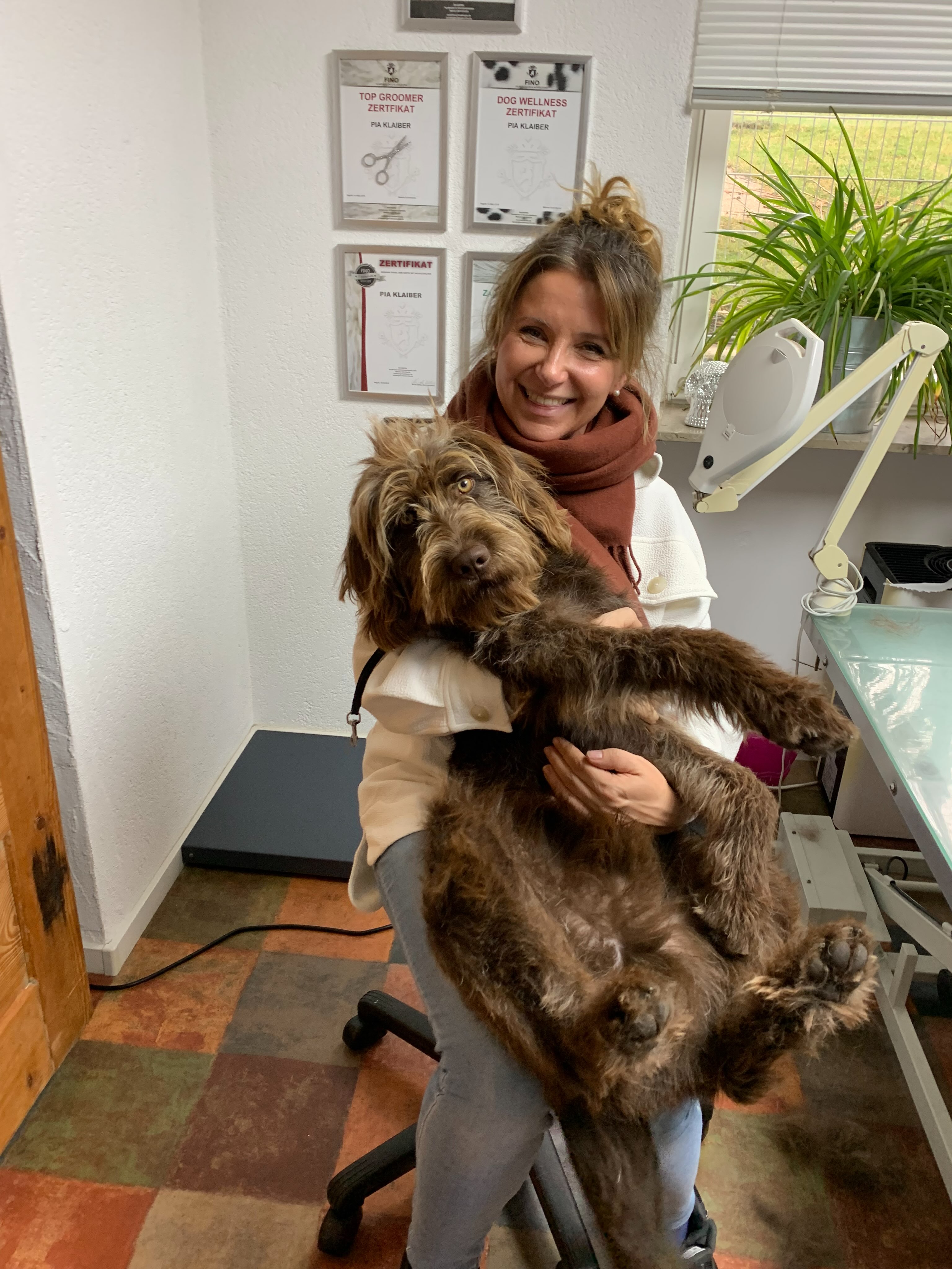 Meine zwei superlieben Stammis aus !!! WIEN !!! 🤩😍🤩🥰
#hundesalonfellblick #länderübergreifendehundepflegemitherz #Knutschkugel #grandiosesteam #ichliebeeuch