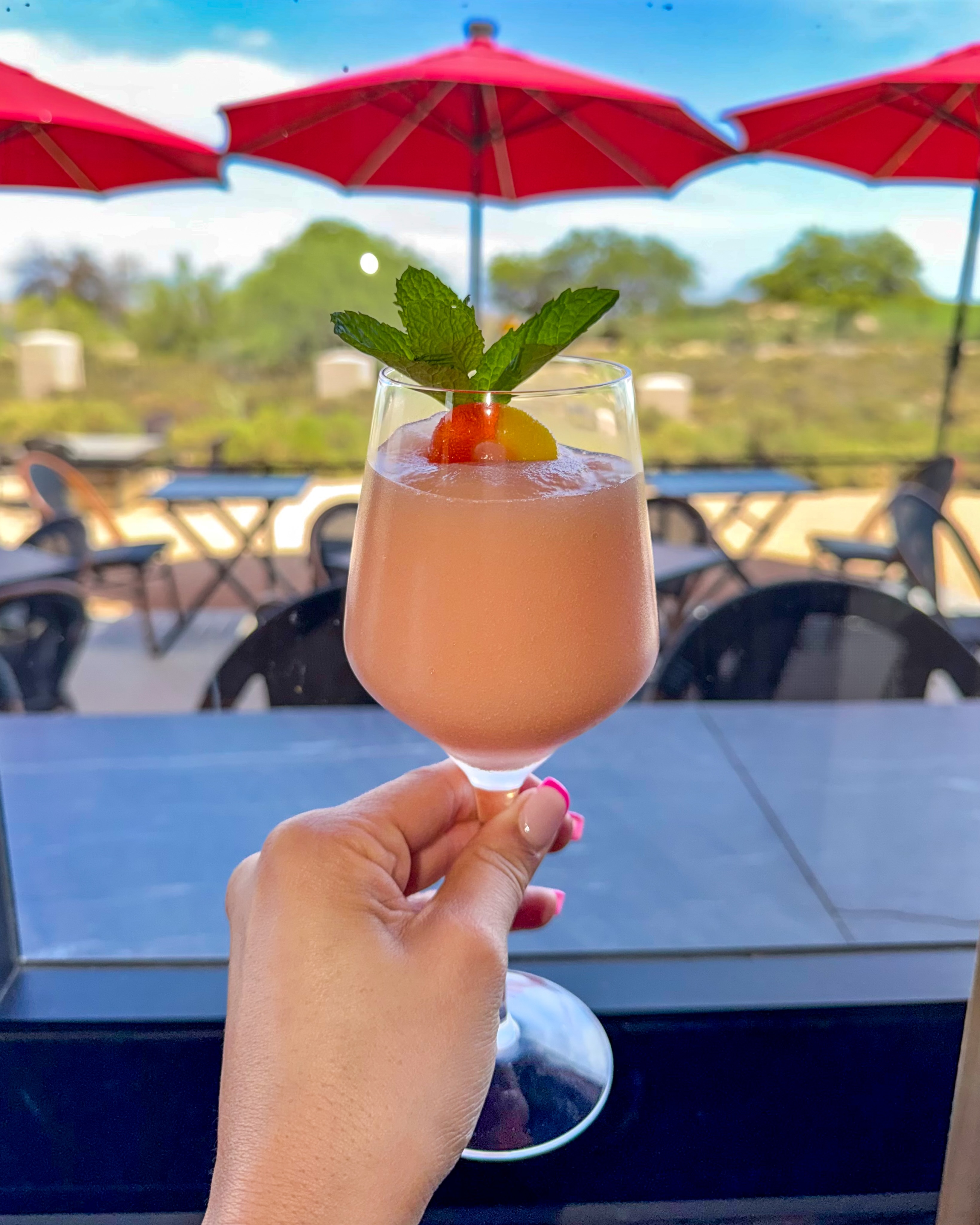 Introducing Seasonal slushies ✨ First up: Peach Raspberry Sangria🍑
#RavensView #WineBar #AlcoholicSlushie #CaveCreek