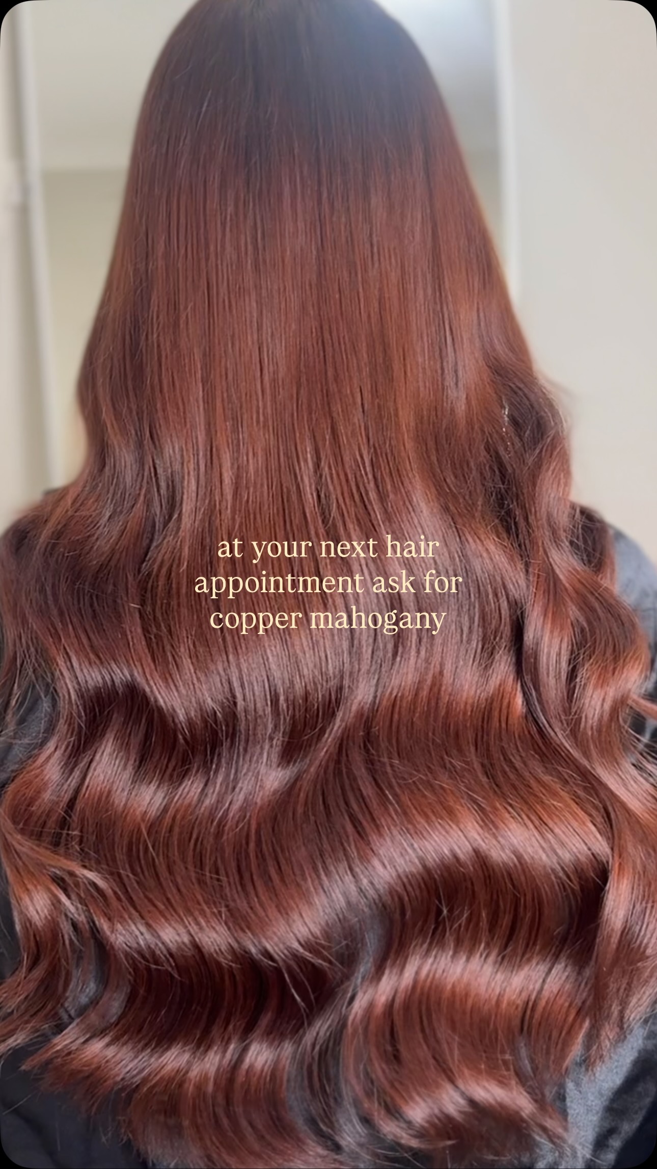 formula: 1/3 7.4 and 2/3 6.45 @affinageprofessional 😏 @erynlardner_ wears 100g of @superiorhairglobal mini’s ✨ code TAYZHAIR for $20 off www.superiorhair.com.au 🕺
#copperhair #hairinspo #haircolor #hairstylist #explorepage✨