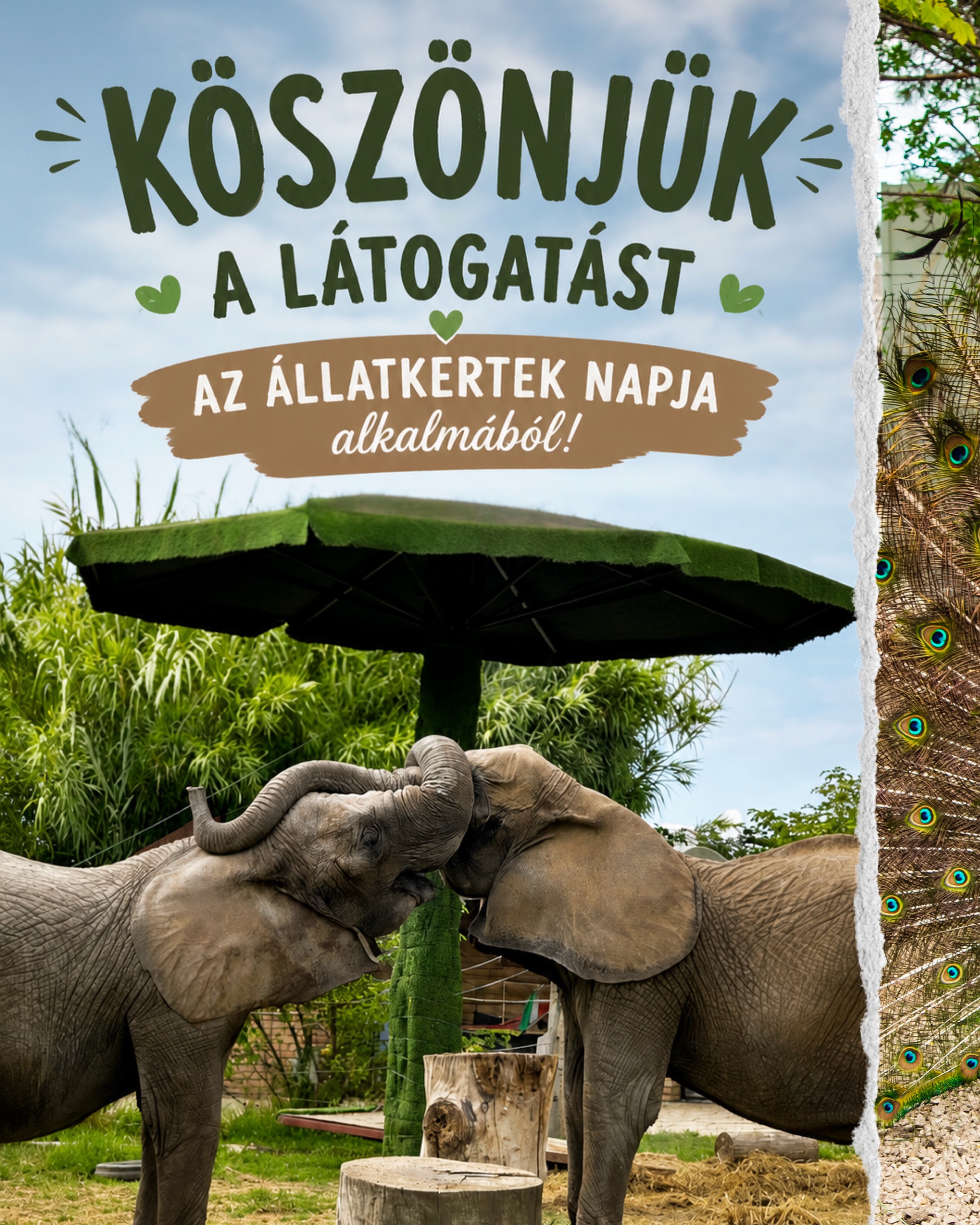 🦒🌿 Állatkertek napja 2026 🐘💚
Köszönjük mindenkinek, aki velünk ünnepelt, és együtt tettétek különlegessé ezt a napot! 🥰
Várunk vissza benneteket sok szeretettel! 🐾🌿