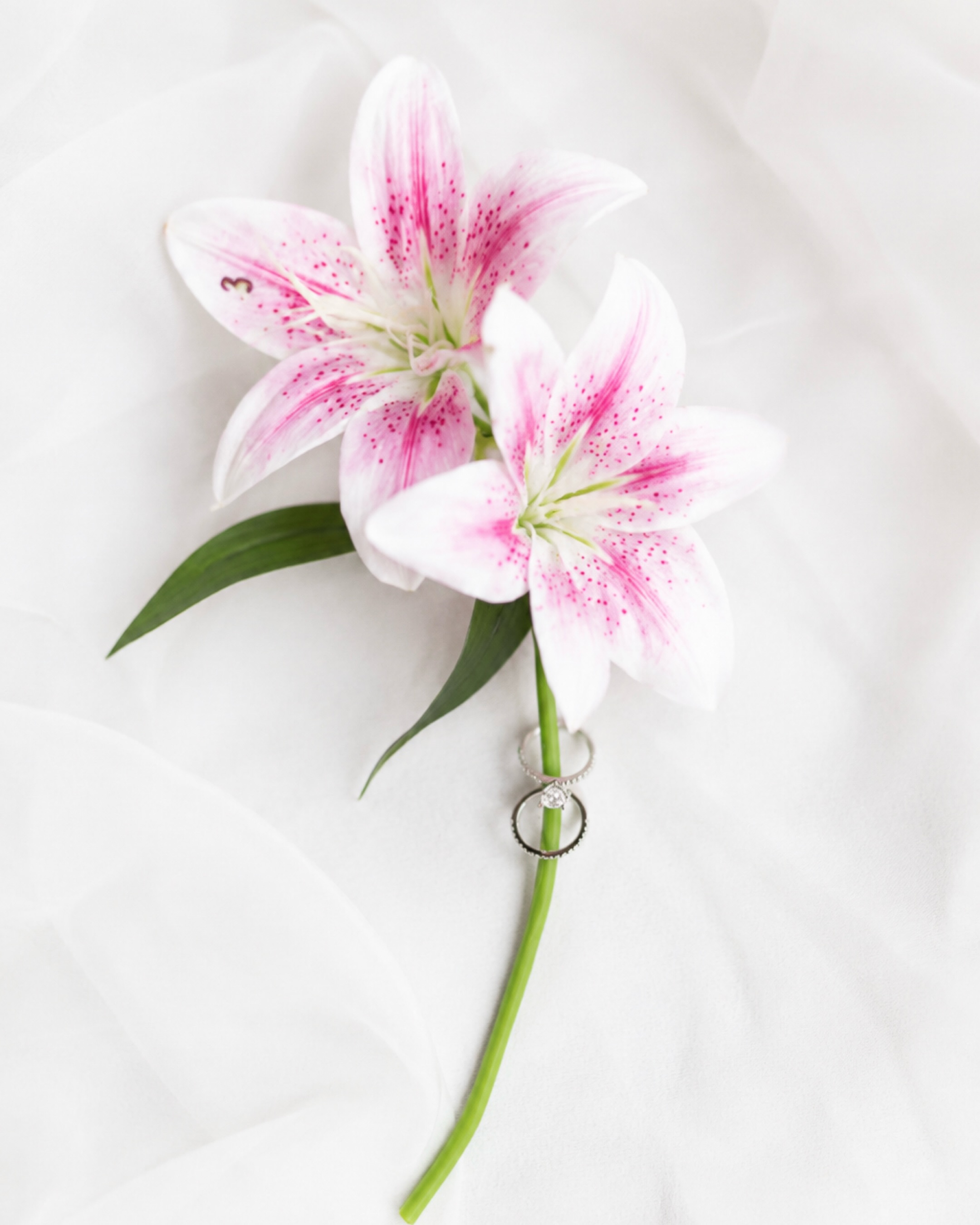 Flat lays with faux wedding florals and I’m here for it 💓
wedding flat lay photography, bridal details photography, wedding detail photos, luxury wedding photography, editorial wedding photography, fine art wedding photography, wedding invitation flat lay, wedding stationery photography, wedding ring photography, bridal accessories photography, wedding shoes photography, perfume wedding details, wedding invitation suite, wedding morning details, bridal flat lay, groom details photography, wedding decor photography