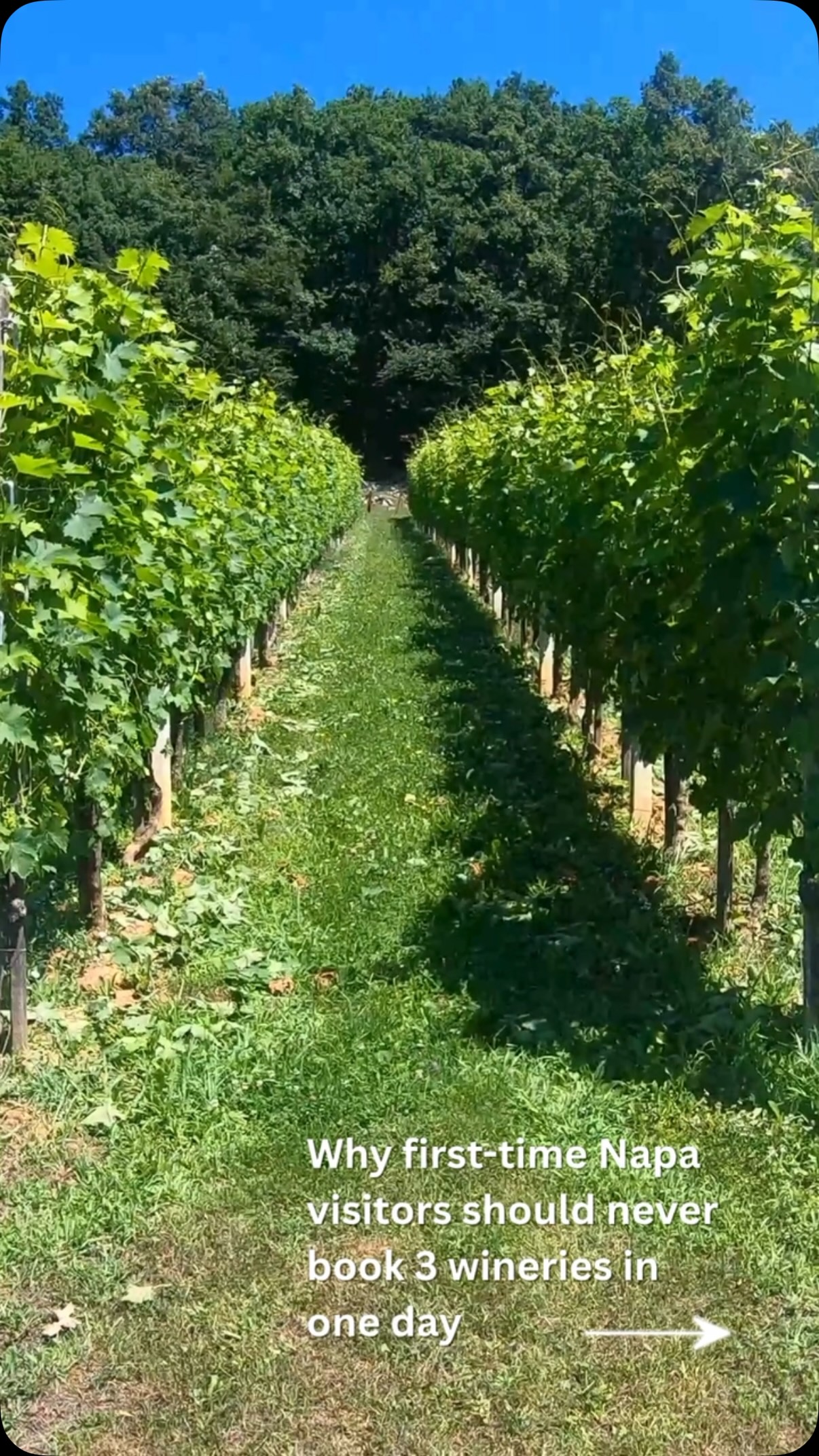 One of the biggest mistakes people make when planning a California wine trip is trying to visit too many wineries in one day.
For most trips, 2 to 3 thoughtfully chosen wineries, lunch, and a little breathing room makes for a much better experience.
Want help planning your trip?
Comment GUIDE and we’ll send you our free California Wine Country Starter Guide.
#CaliforniaWineTravel #WineTripPlanning #WineTastingTips #CaliforniaWineCountry #WineTravel
