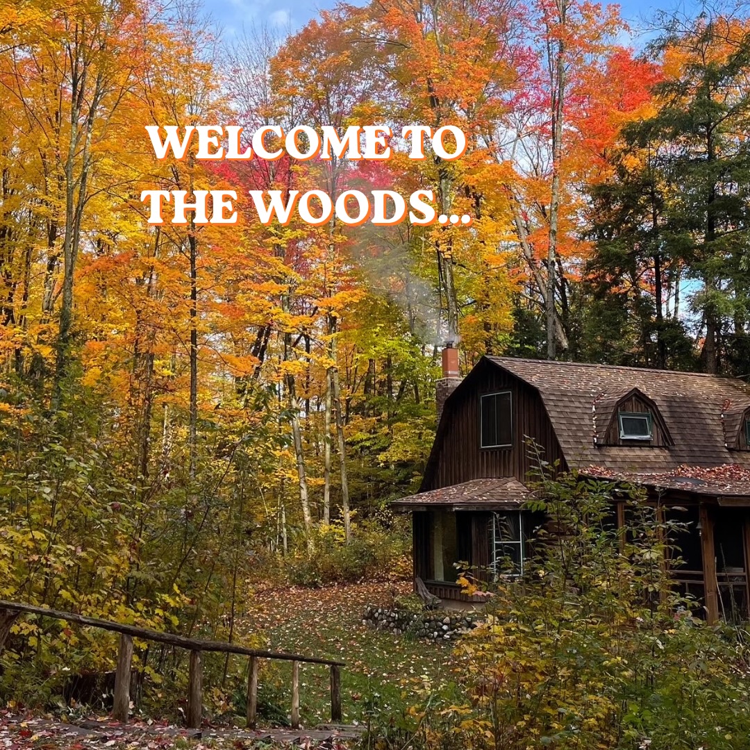 Would you like to join us for a witchy weekend in the woods? ✨🐈⬛🍁Check the link to sign up in our linktree or reach out with any questions. 🥰
Learn more right here: https://www.airandsunacres.com/post/autumn-twilight-weekend-retreat-october-30-november-1-2026