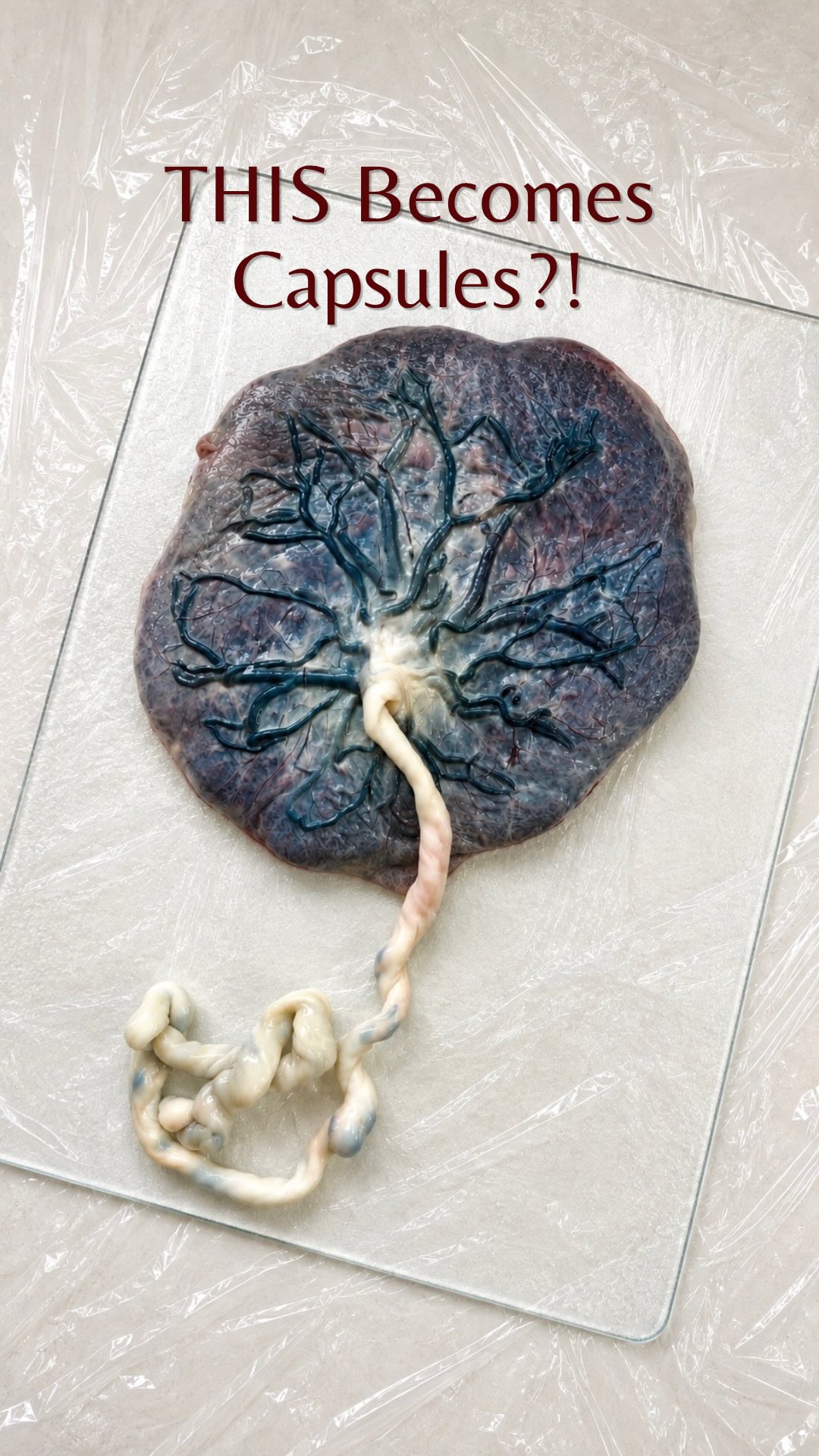 Placenta Encapsulation in San Diego
Ever wonder what happens during the process?
Your placenta is carefully prepared, dehydrated, ground into powder, and encapsulated right here in my dedicated workspace.
Any questions?
#placentaencapsulation #placentacapsules #placentaencapsulationsandiego #placentapills
