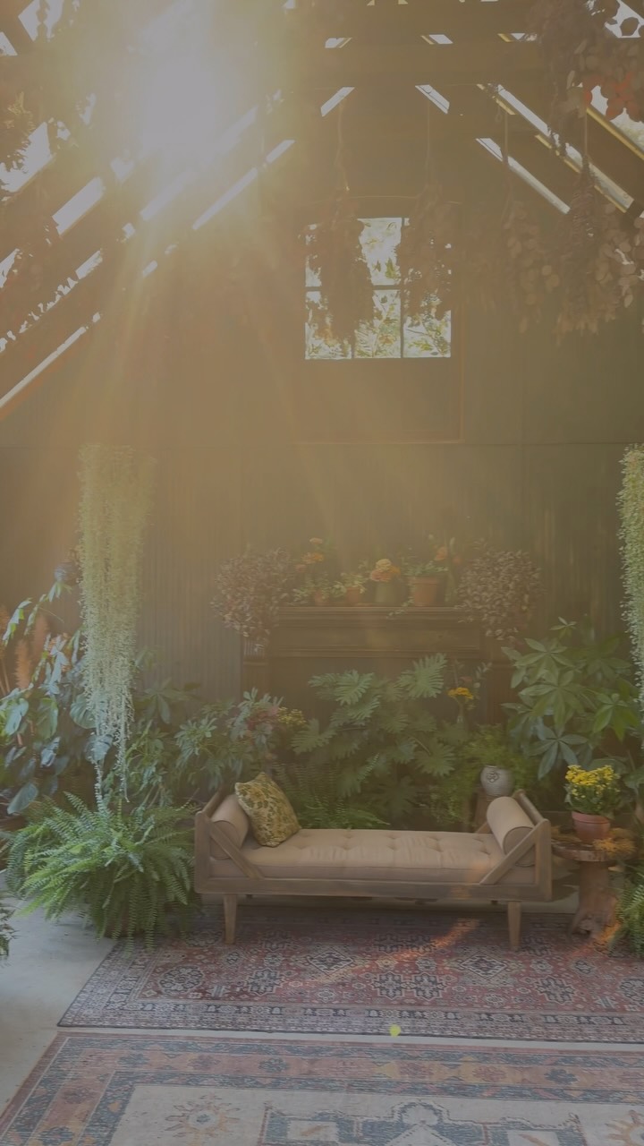 Good morning friends! I have had an incredibly busy week preparing my new painted tapestries for release 🙌 and I’m so excited to share them with you!
I am also working on changing up the greenhouse styling for a more fall vibe (coming soon) harvesting what needs to be harvested and of course all the bookings and parenting etc 🤪🥰
I just wanted to take a break to give you a little sunlit tour of my plant filled happy place while you wait 🤗🌞✨🌿
Thank you all so much for being here with me and following along it means so much to us creatives to have people appreciate what we do. I can’t express that enough. ❤️💫
If you have not signed up to get my free mini magazine, Botanica Vignette yet the link is in my bio. You get the first issue immediately and I will be releasing the September issue next week!
I hope you all have a beautiful day. ☺️🦋
xoxo @meghanaileen
Artist and creator of NunaVeda Greenhouse
& Botanical Vignette mini magazine
Art. Nature. Creativity. Rituals. Slowing down. Seeing differently.