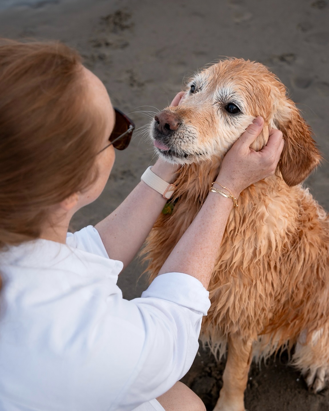 I can’t believe it’s been over a year since this session! I think about Schooner often. He is just the happiest, goofiest boy, and spending time with him is guaranteed to put a smile on your face.
I hope he’s had the best summer 🥹❤️
#petpgotographer#novascotia#novascotiaphotographer