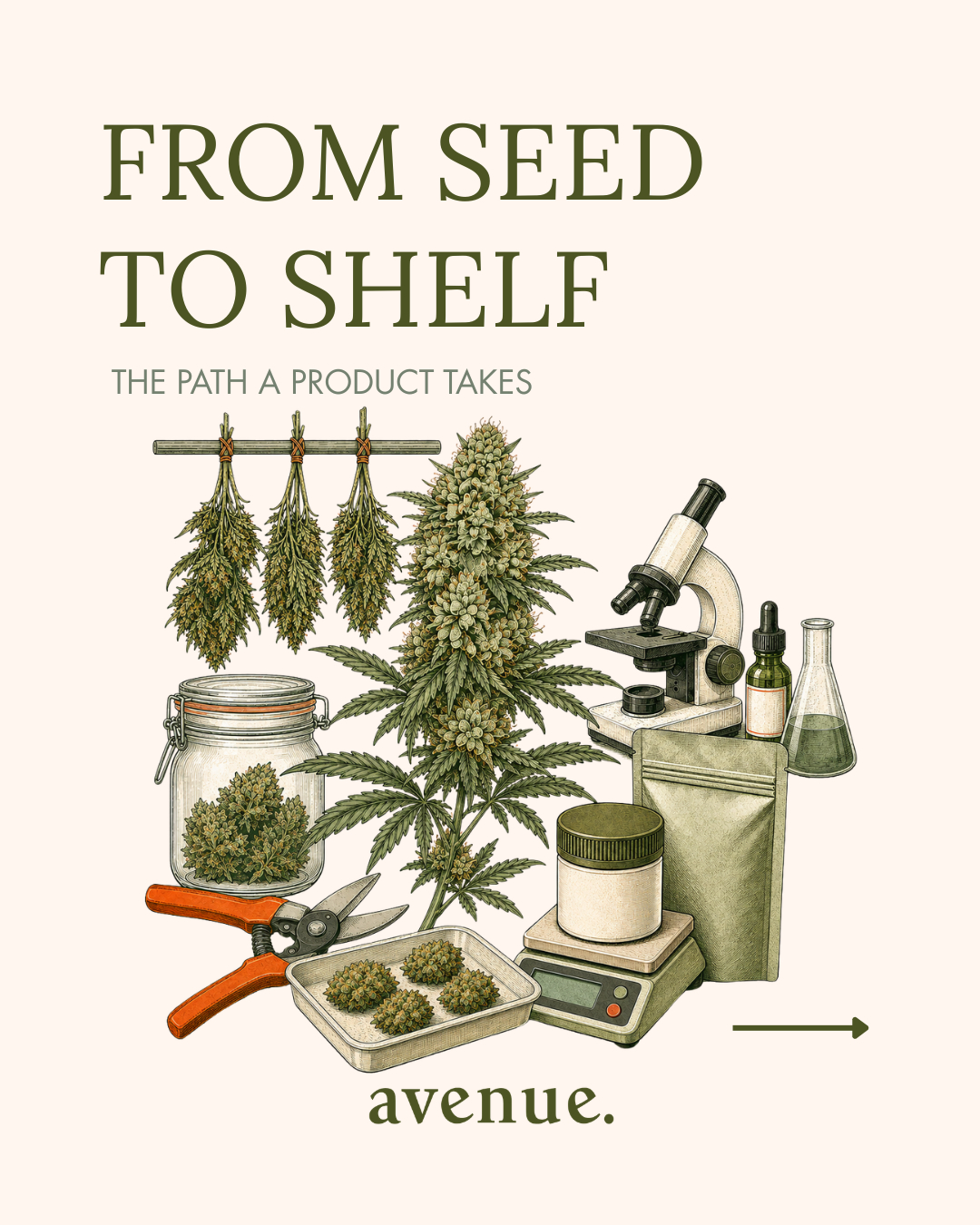 Ever wondered what your favourite flower goes through before it arrives on our shelves? 🌱
Swipe through to see the whole journey from the plant, through drying and trimming, all the way to lab testing, before it ever makes it into your hands.
19+ | Educational Purposes Only
