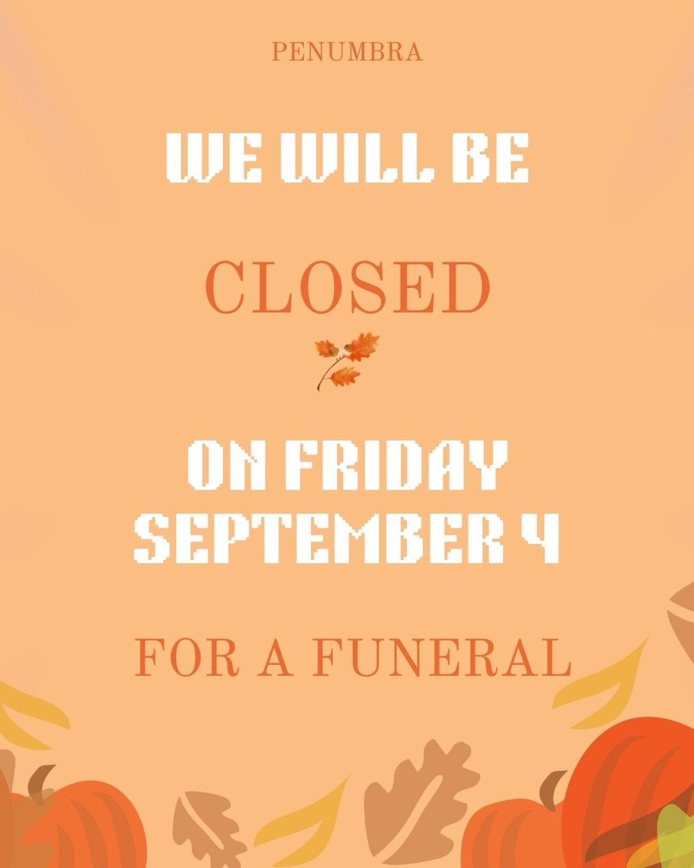 Hello friends, how are we doing? Honestly, here at Penumbra we’ve been better. A lot of you all saw on our stories that we’re dealing with a death in the family. Alyssa’s dad died last week. Being a family business makes it wicked hard to keep going when things like this happen. So, we ask that you bear with us this week as we navigate this. The funeral is Friday, so we are going to be closed all day Friday. Otherwise, we think we’ll be open regular hours, but if that changes, we’ll post here. Thanks for being the best community in the whole world, and give your loved ones an extra hug for us. 💕🌈🌿