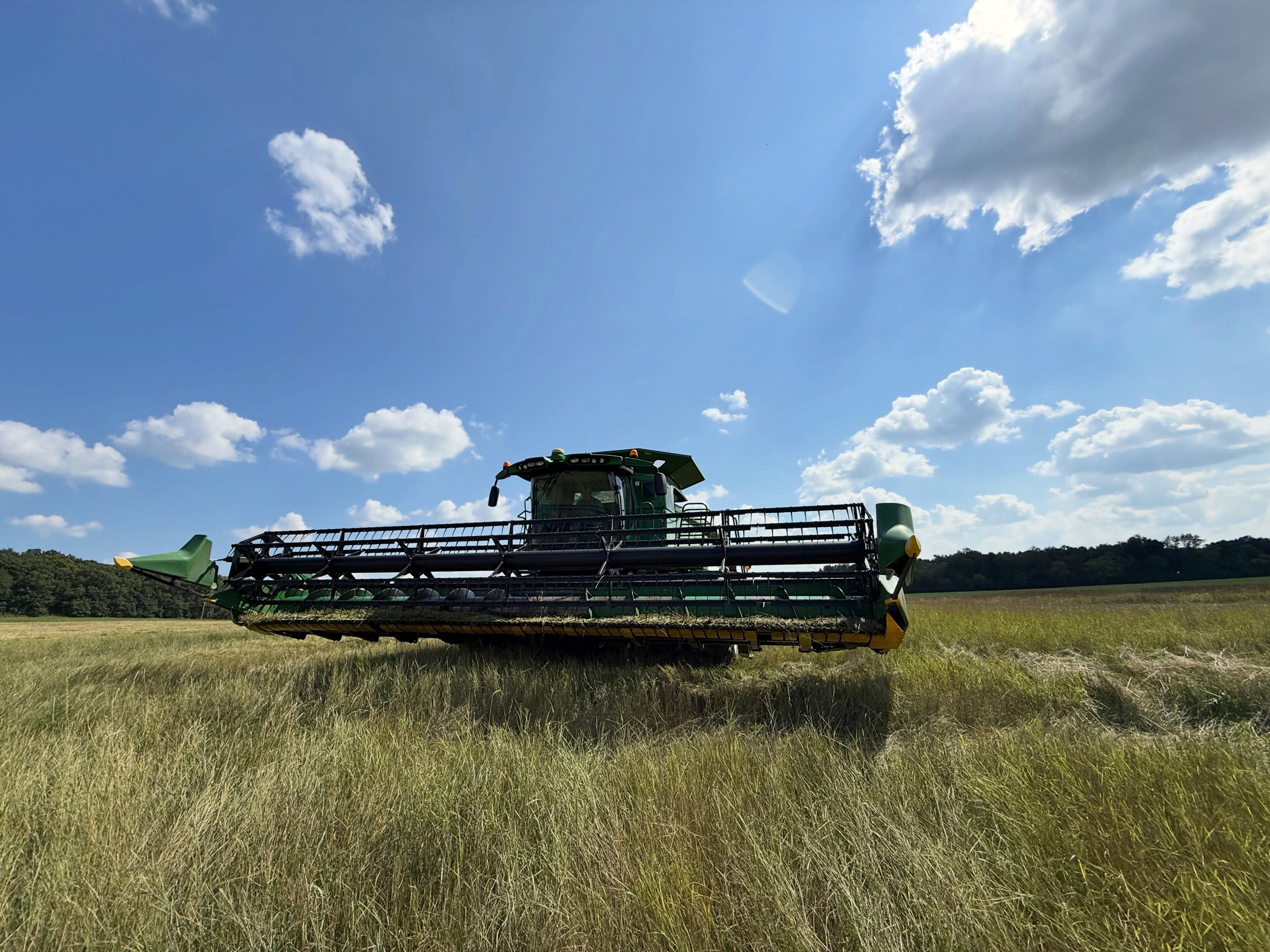 Kernza harvest day at MFAI’s New Farm in East Troy, WI. Direct cutting under clear blue skies - dreaming about pancakes after milling. Come and get our Kernza flours and baking mixes at the markets or order right from michaelfields.org.