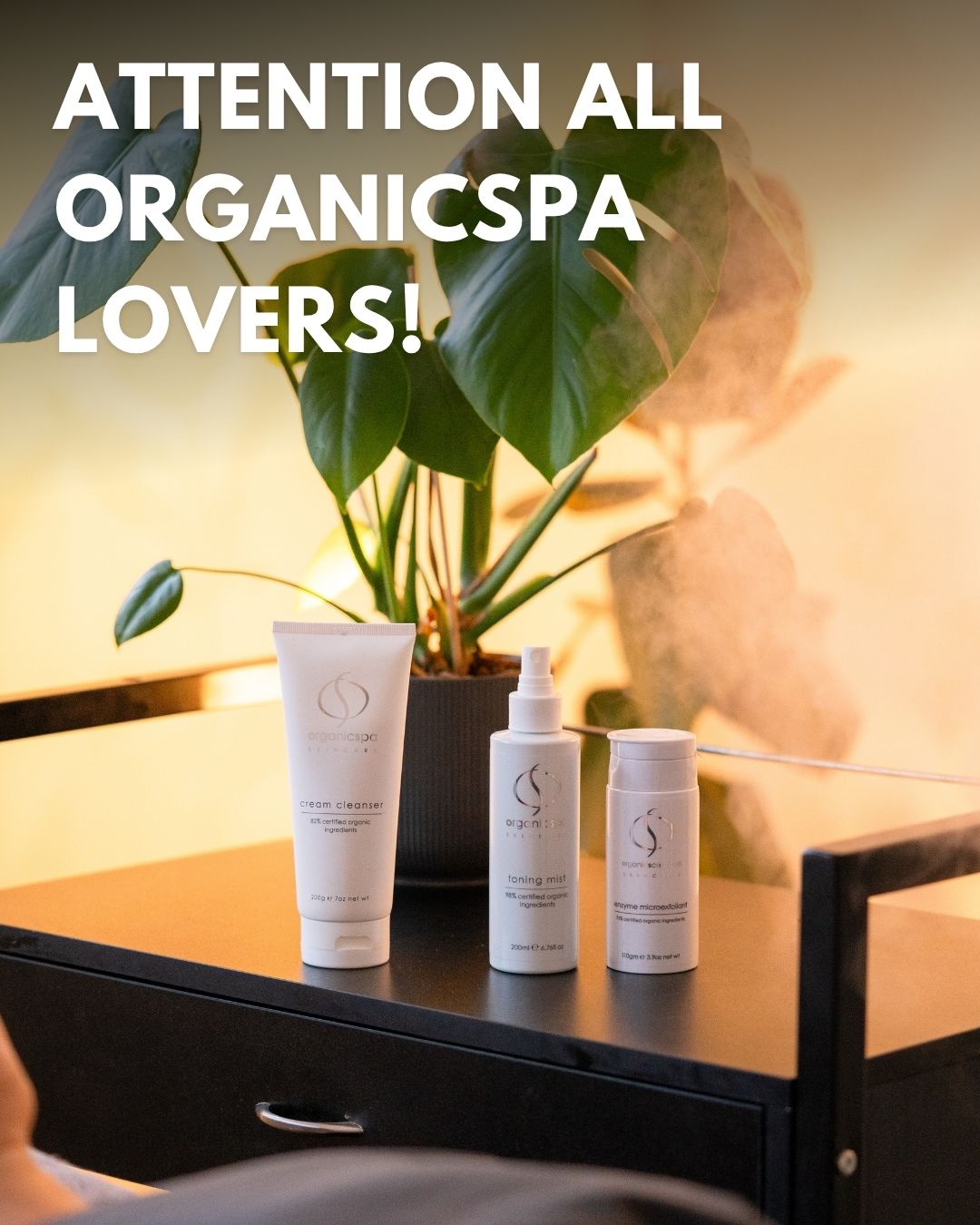 A heads up for our OrganicSpa lovers, prices are increasing on a few select items.
OrganicSpa last reviewed their pricing back in 2024. Since then, the cost of raw materials, getting them to us, and the sustainable packaging they are committed to have all crept up. Rather than compromise on formulations, certification or packaging standards, a price adjustment is on the way.
The good news is we are carrying those costs until 1 October, so you have time to stock up on your favourites at current prices before then.
Available in salon and online at ramai.com.au
