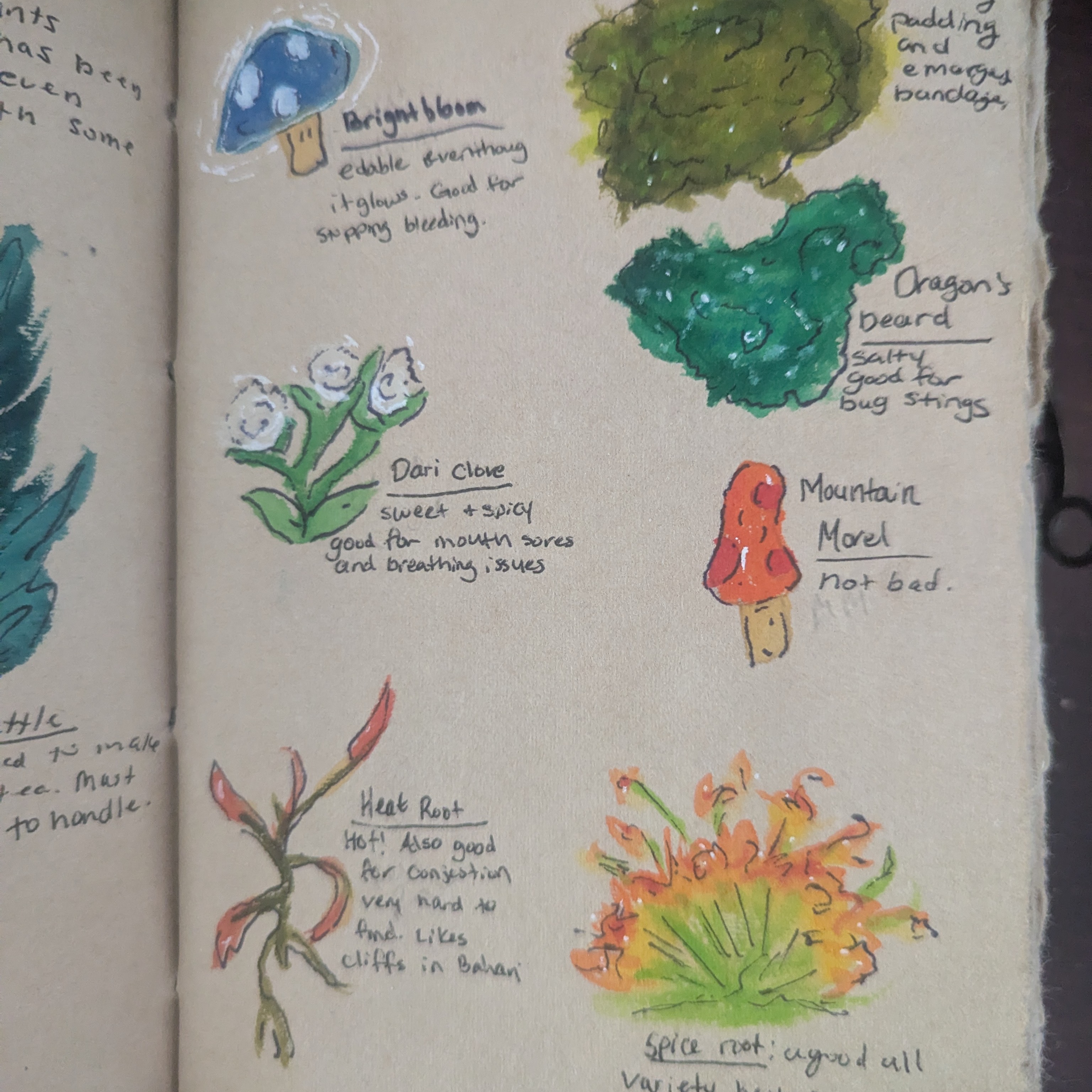 A couple of years ago, I stumbled across a game called #palia it was free so I decided to give it a go. Safe to say, this game has been such a joy to play. I love it so much that I decided to make a character journal inspired by the character I play in the game. If you like cozy games with quests, romance options and the ability to build and customize this game is for you. #cozygames #characterjournals #vibesonly #freegames