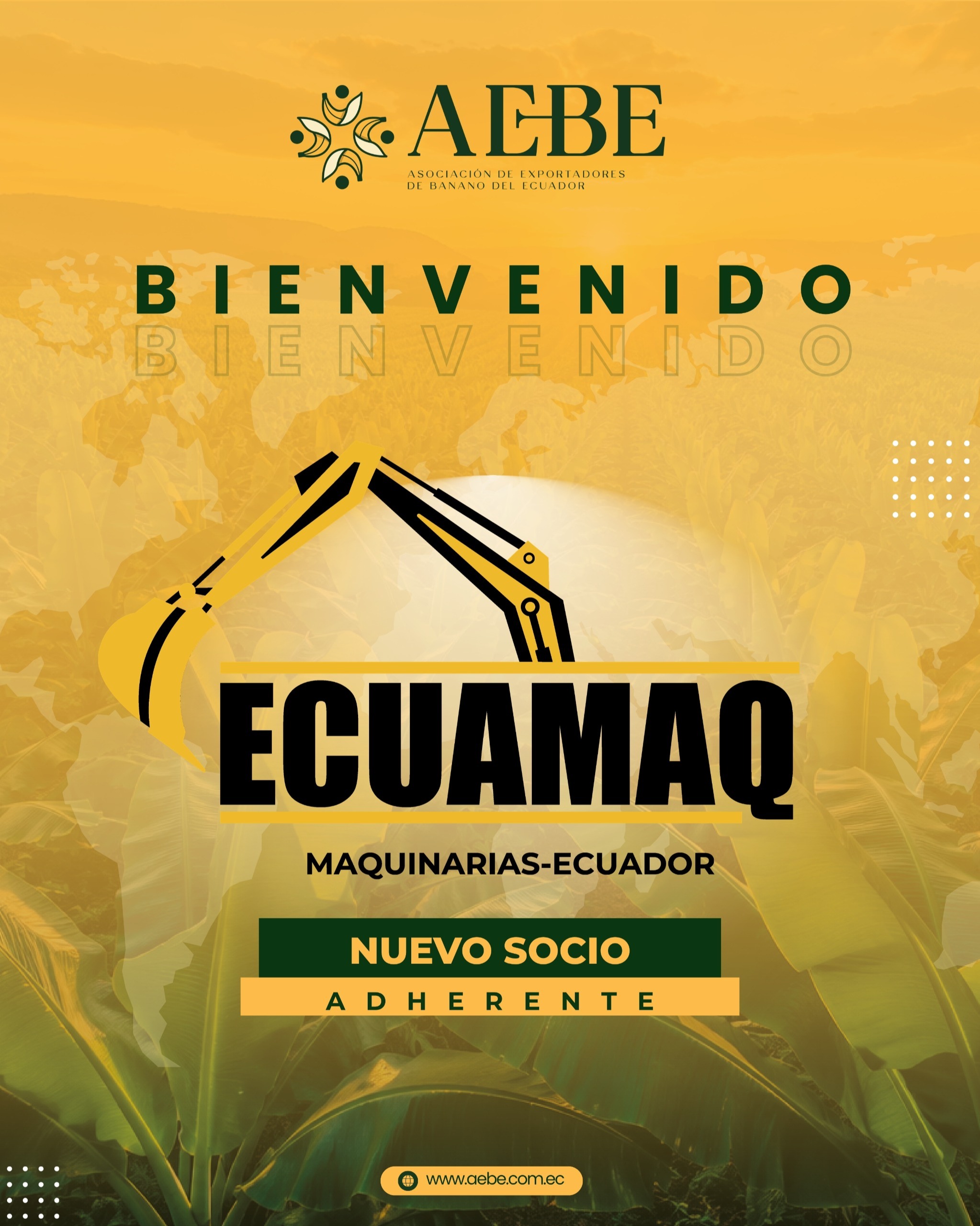 ¡Le damos una calurosa bienvenida a @ecuamaqec como nuevo socio de AEBE! 🙌
Nos alegra sumar a nuestra comunidad a empresas que impulsan el desarrollo, la maquinaria y el equipamiento de excelencia para fortalecer el sector agroexportador ecuatoriano. 🇪🇨🚜
¡Juntos seguimos construyendo el futuro del campo y la industria!
#AEBE #Equamaq #NuevoSocio