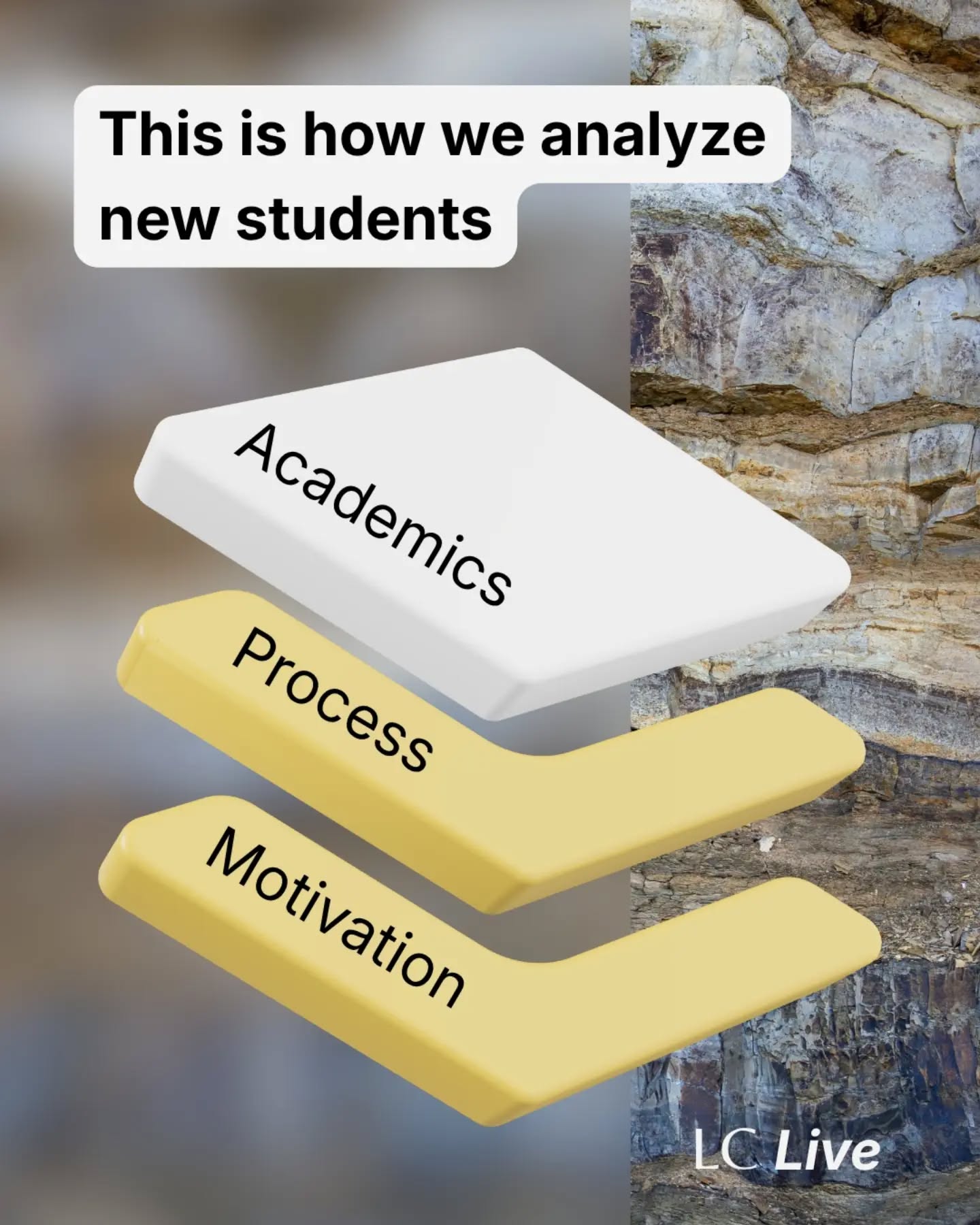 This is how we analyse new students at LC Live.
We're looking at their academic understanding, process understanding, and what motivates them.
It's direct and successful.