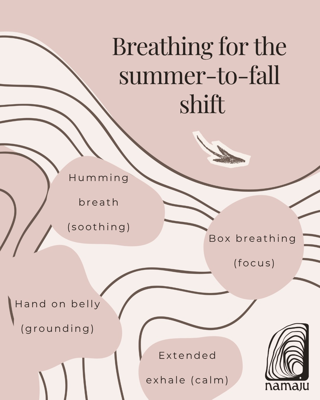 Three ways to meet that shift, wherever you are:
A longer exhale on your commute. Breathing out longer than you breathe in tells your vagus nerve you’re safe, which slows your heart rate in real time — no app, no stopping what you’re doing, just a shift in rhythm on your way to work.
Box breathing before a hard conversation. Inhale for 4, hold for 4, exhale for 4, hold for 4. The pattern itself is what works — it gives your mind something simple to follow, so it stops spiraling before you walk into the room. A soft hum when your mind won’t slow down. Humming vibrates your vocal cords, which directly stimulates the vagus nerve — it’s one of the fastest ways to interrupt racing thoughts, even for ten seconds between tasks.
You don’t need to wait for the weekend to reset. Sixty seconds between meetings is enough to tell your body that a season change isn’t a threat.
Tested on real Brussels transition-season mornings. Save this for the next one.
Which breath will you try on your next commute? 🤍
#breathwork #brussels #nervoussystemregulation #seasonalshift