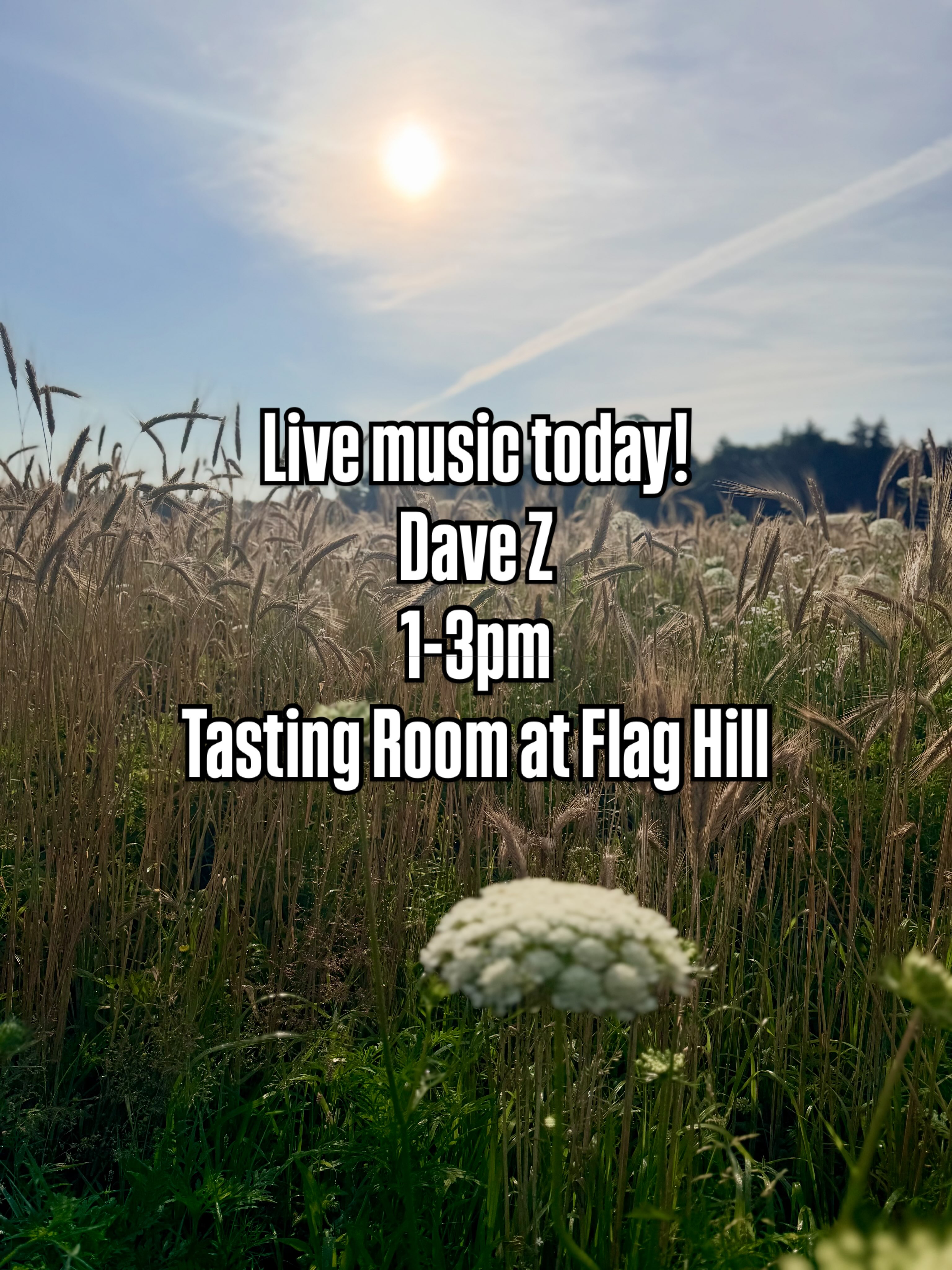 Live music Sundays are the best! Join us from 1-3pm for live music and all your favorite wines&spirits! 🥂
#flaghill #lovemusic #sundayfunday #winery #distillery
