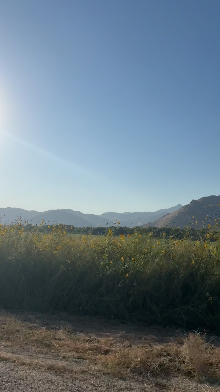 The feeling of driving up to R-Ranch in the Sequoias. π²ποΈπ
You know youβre in for a good weekend when the mountain views start looking like this. β¨