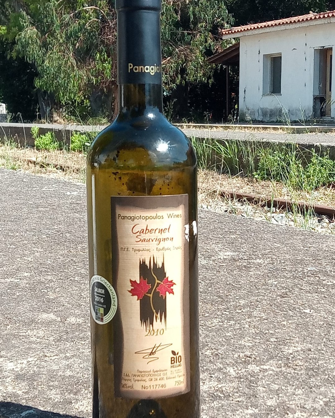 A Greek Cabernet released more than a decade after harvest.
Panagiotopoulos Cabernet Sauvignon Bio 2010 – PGI Trifilia, Peloponnese | 90/100 🍷
At Panagiotopoulos (@panagiotopoulos_wines) in western-Peloponnesian Trifilia, Cabernet was the lead grape from the start: Dimitris Panagiotopoulos planted his first vines at Pachimari near Pyrgos Trifilias in 1982, long before the present winery rose in 2005. This organic Cabernet ages like almost no other Greek example: 24 months in French oak, then over ten years in the cellar before the 12,000 bottles were released. The premium organic bottling, “Tomos I” since 2013, runs about €25–30 today.
2010 gave Trifilia a warm, dry summer, ideal for colour, tannin and dark fruit, then a wetter September and October that forced late picking and strict selection. The wine still carries that structure, the organic bottling even more so: in 2018 Simos Georgopoulos found it fresher, more tannic and less evolved than its conventional twin of the same age, and gave it five more years. The reserve proved real, and in 2024, at fourteen, it took gold at Japan’s Sakura Awards. Among the estate’s Cabernets, 2010 is less the early medal-winner than the wilful long-distance runner. So, with high expectations, I tasted it.
Lots of inviting toffee on the nose, some eucalyptus, a little undergrowth. The attack still brings plenty of red fruit, then cocoa-like tannin. Acidity is good up front, yet flavour and tannin flatten fast. At 14% the alcohol stays discreet and the finish holds quite long; structure tails off at the back, so the acidity rather fizzles out too.
A good wine, and one I’d give 90 points. It should hold here for the next five years, to 2031, and likely a decade on.
A much more detailed review lives in our site’s tasting-note database of 500+ Greek wines.
Save this for the next time someone says Greek Cabernet doesn't age.
#GreekWine #CabernetSauvignon #WinesOfGreece #OrganicWine #AgedRed