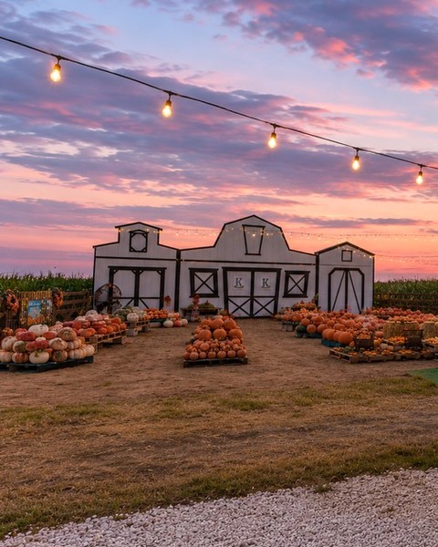 South Texas Pumpkin Fest opens in ONE WEEK, y’all!! 🧡
Who’s ready for pumpkins, live music, good food, family fun & all the South Texas fall vibes?! 🎃🌵🎶
Plan your visit & get discounted tickets: rockinkmaze.com