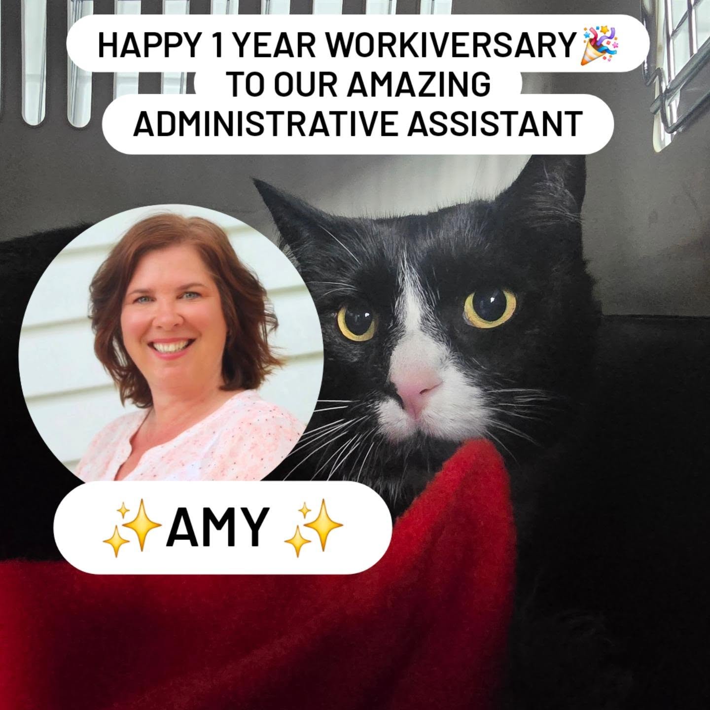 Bugaboo the cat has something important to say🔉
Happy 1 year workiversary to ✨️AMY✨️
Over the past year, Amy has transformed our office systems and streamlined them to make pet travel easier for us and our clients. She is often busy organising domestic flight bookings, sorting quotes, managing invoices or being a sounding board as we keep planning and trying to improve Hamilton Pet Transport.
Thank you, Amy, for your commitment and for being such a vital part of the Hamilton Pet Transport family! 🐾🛫🛩🛬
#teamappreciation #Hamiltonpettransport #HamiltonNZ #waikatobusiness #PetLogistics