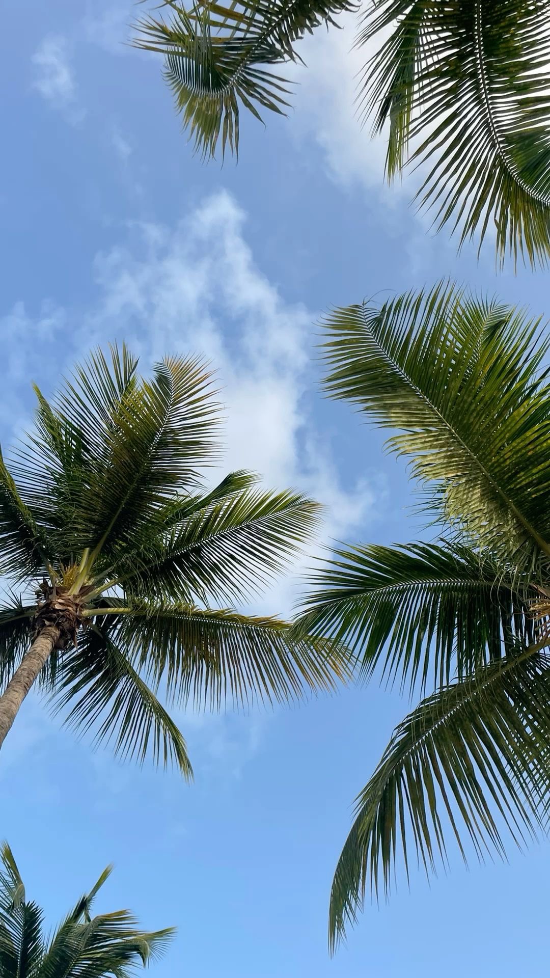 Some summers you spend. This one, we hold onto. 🐚
#caribbeanvacation #oceantides #luxuryresort #beachvacation #islandlife